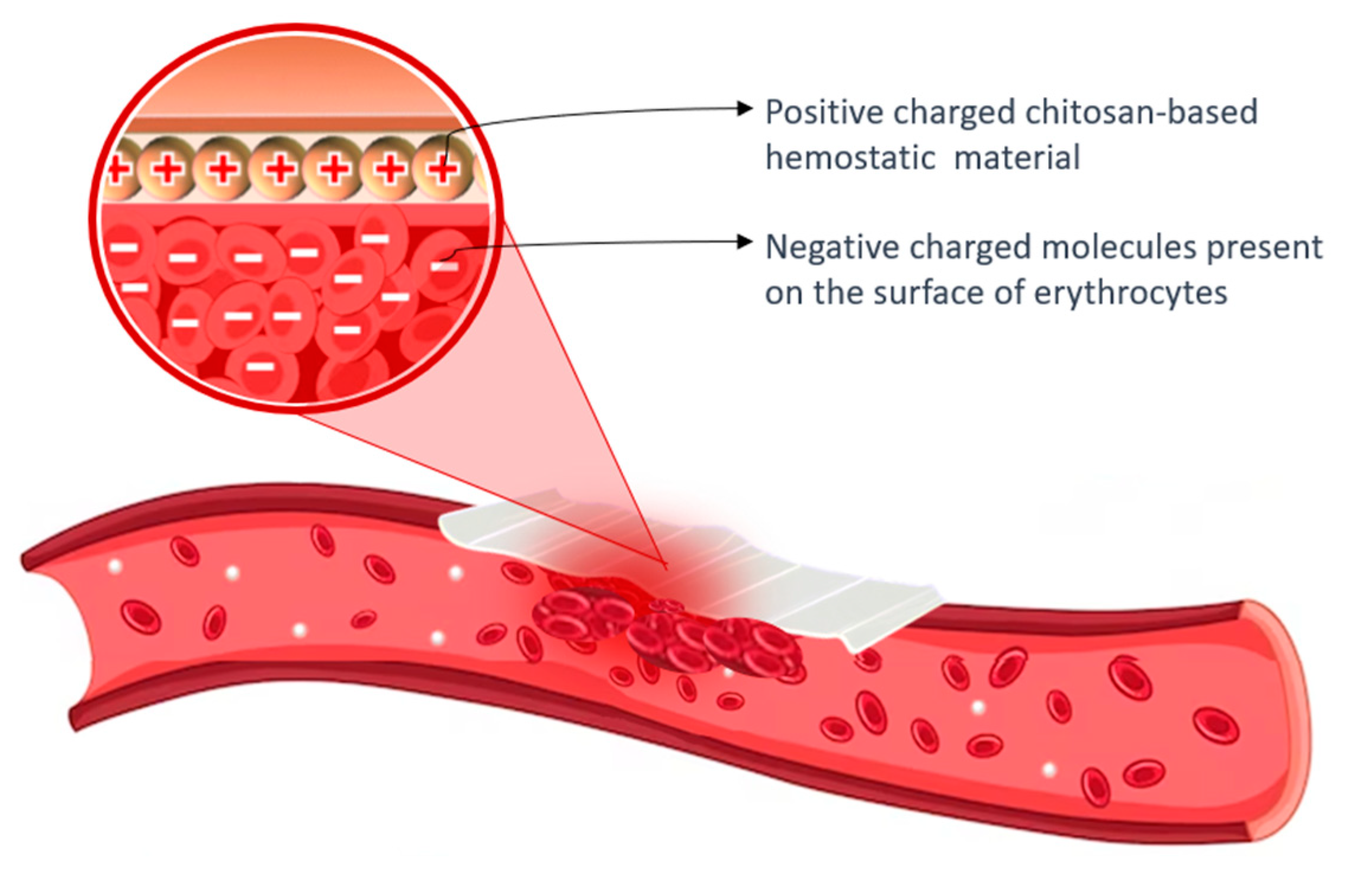 Preprints 74194 g005