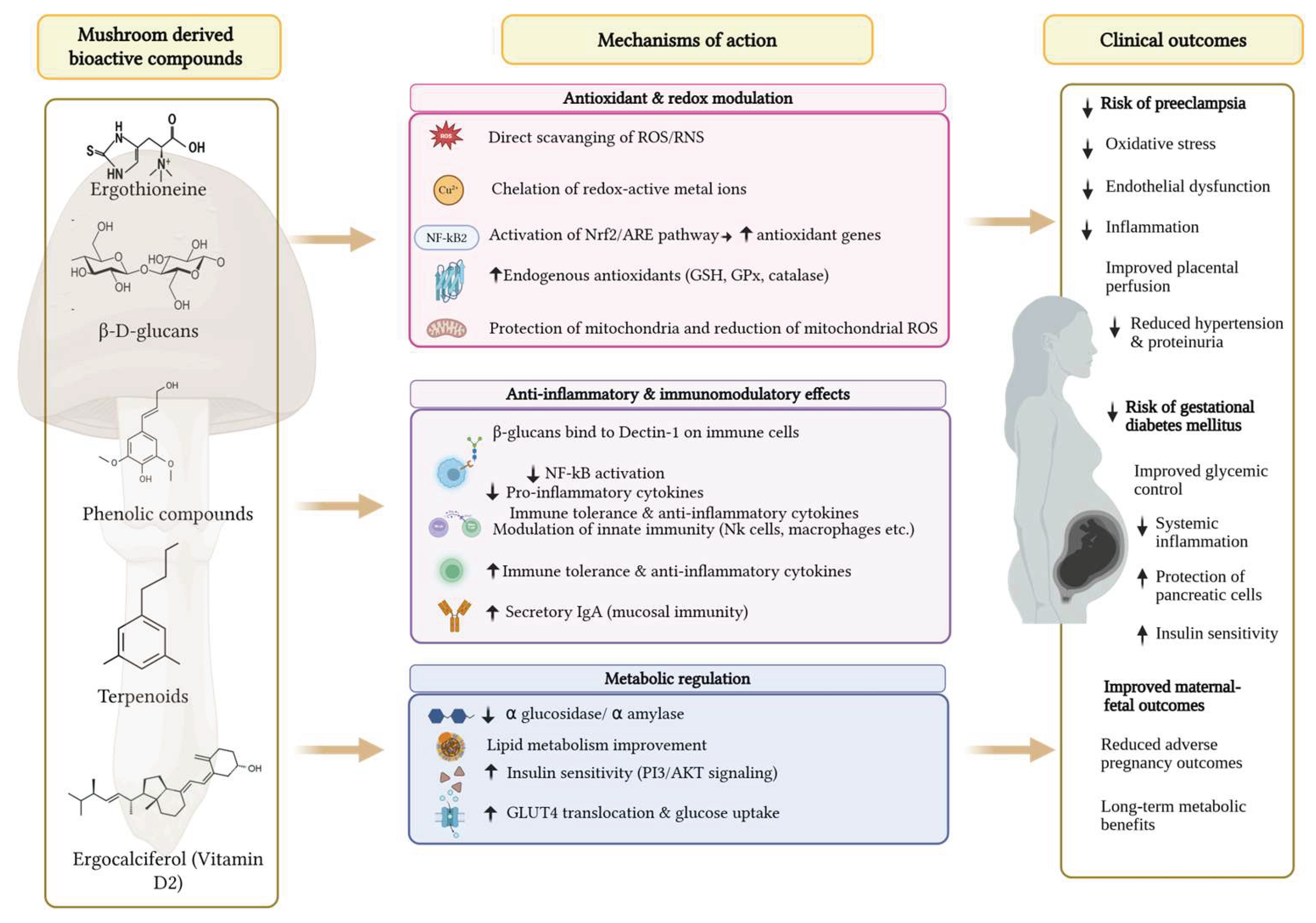 Preprints 216794 g002