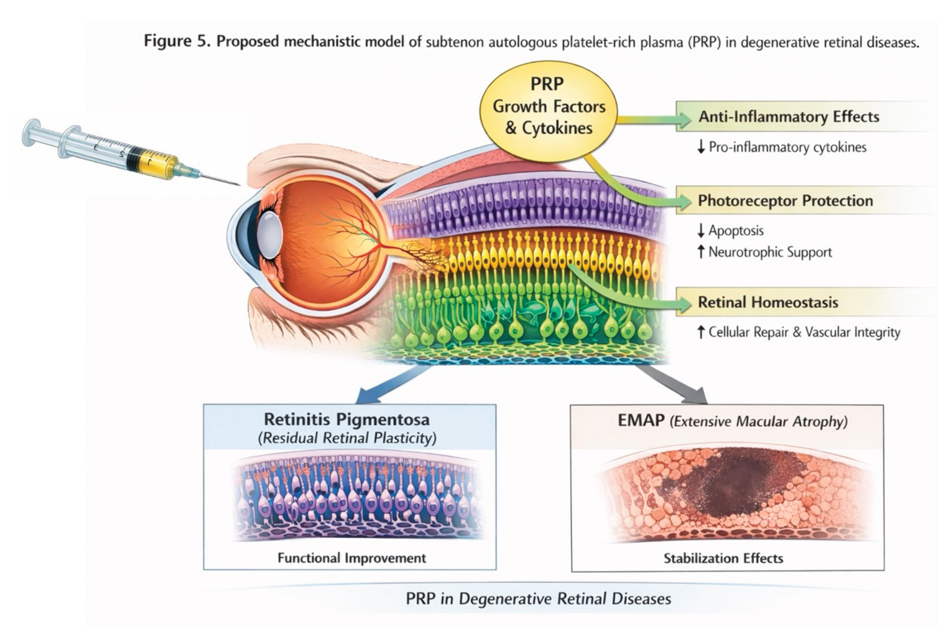 Preprints 197498 g007