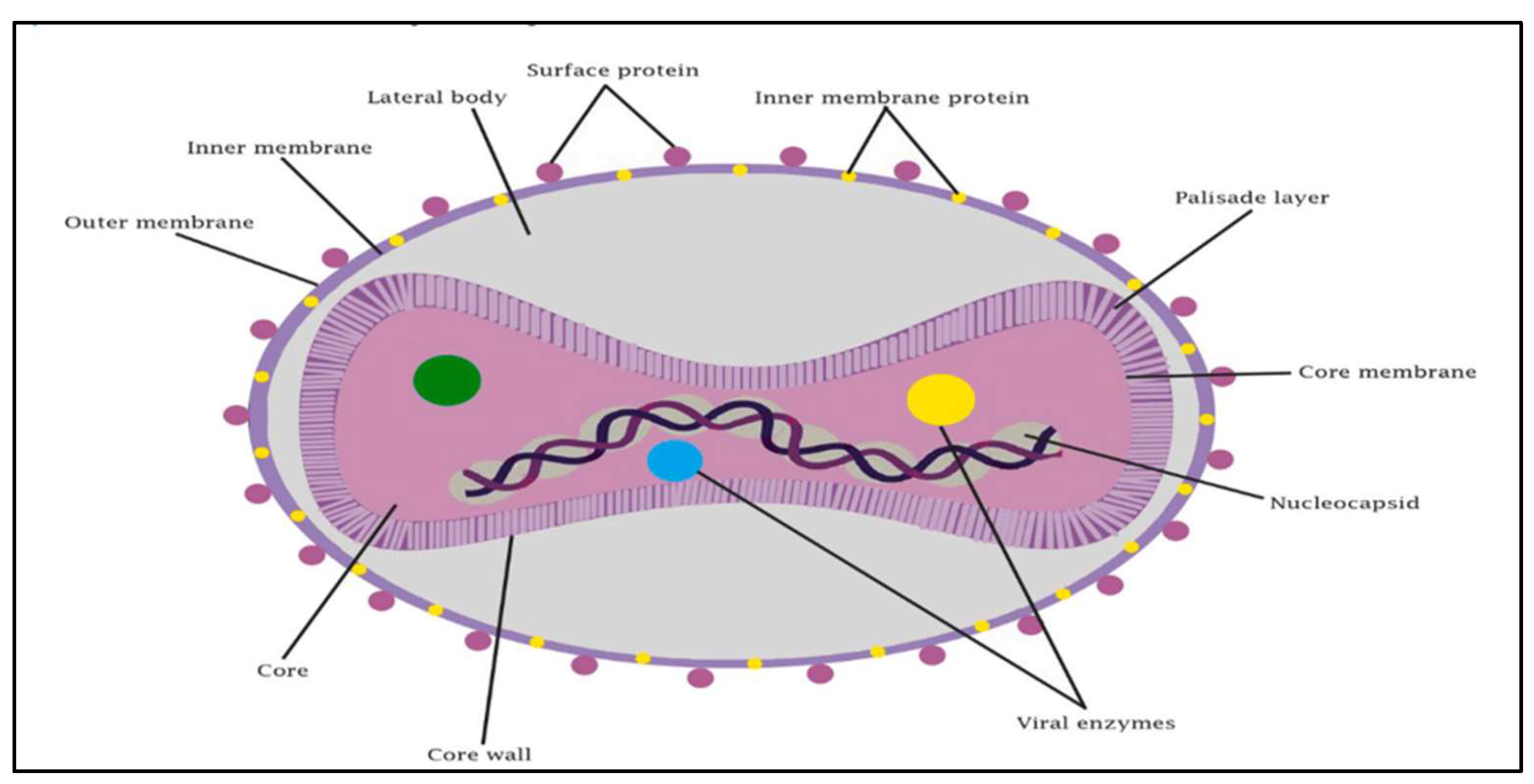 Preprints 137568 g001