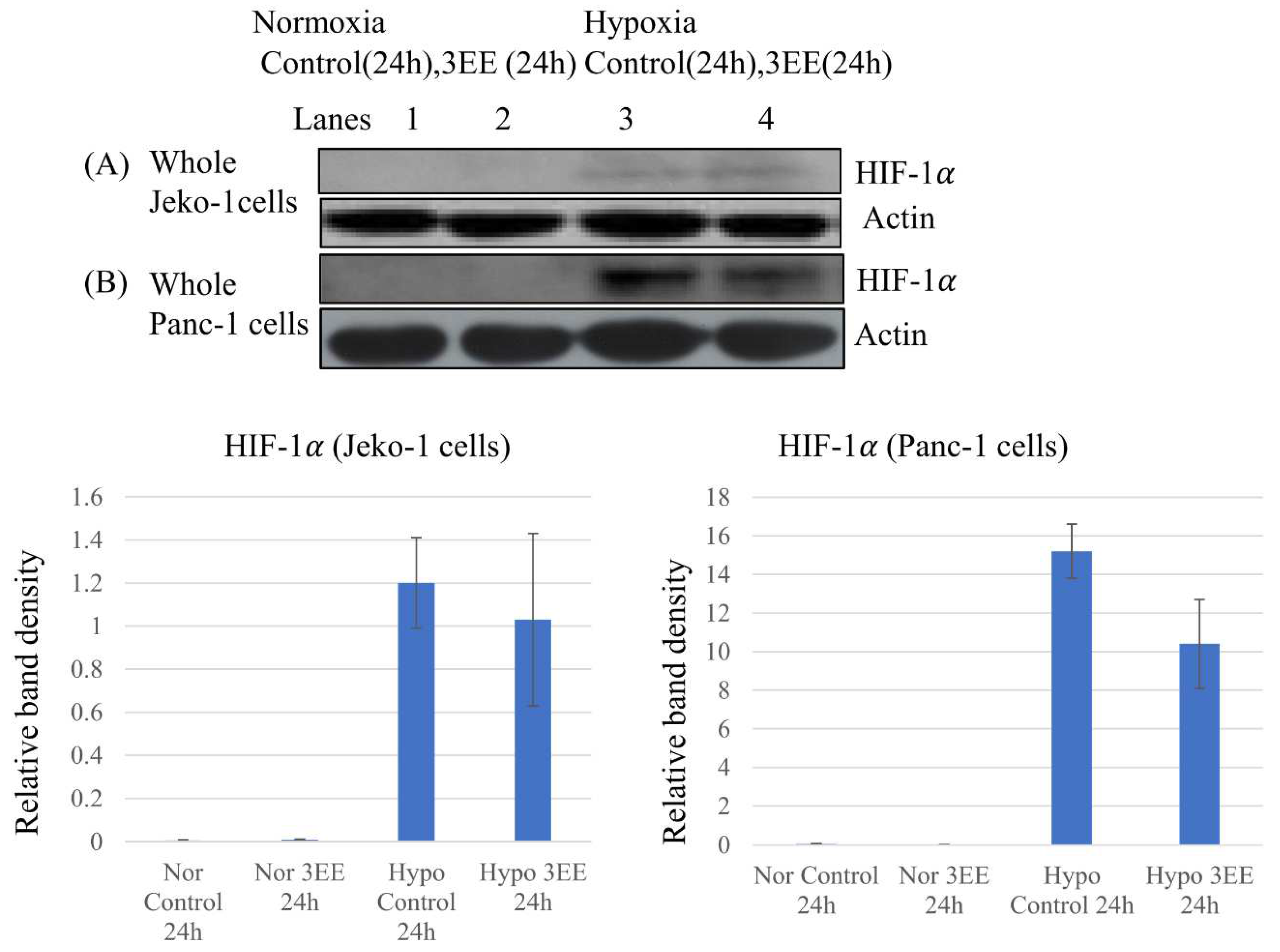 Preprints 73972 g003a
