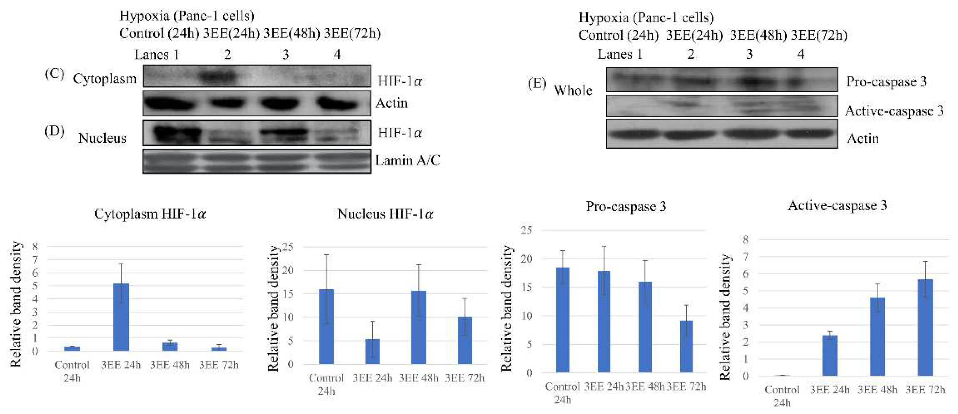 Preprints 73972 g003b
