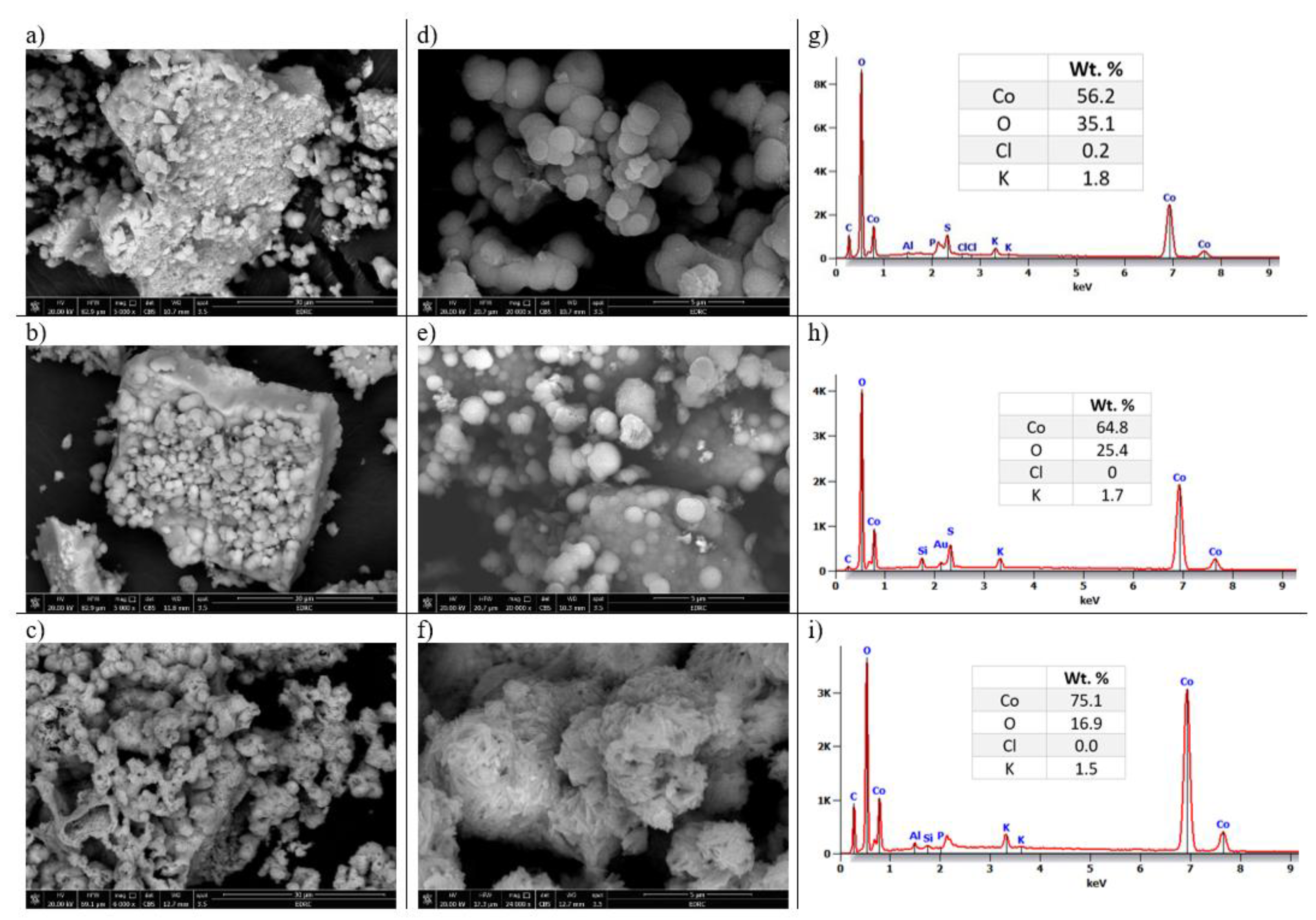 Preprints 155276 g001