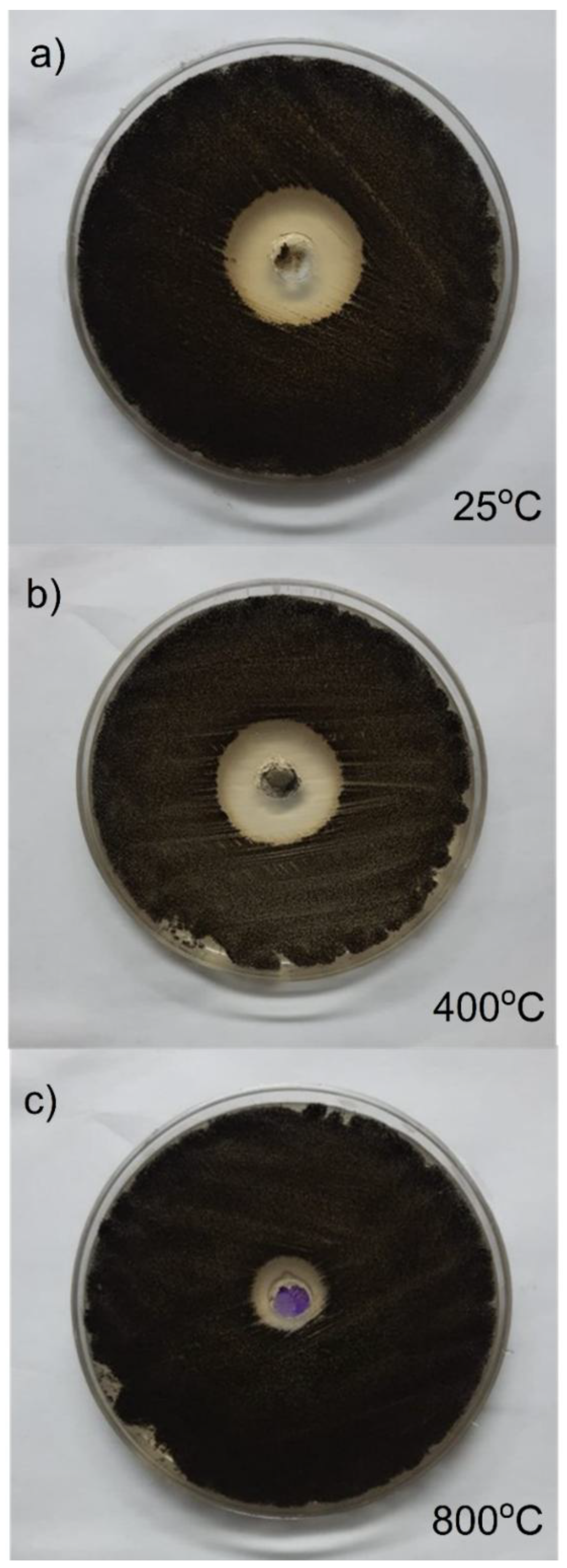 Preprints 155276 g012