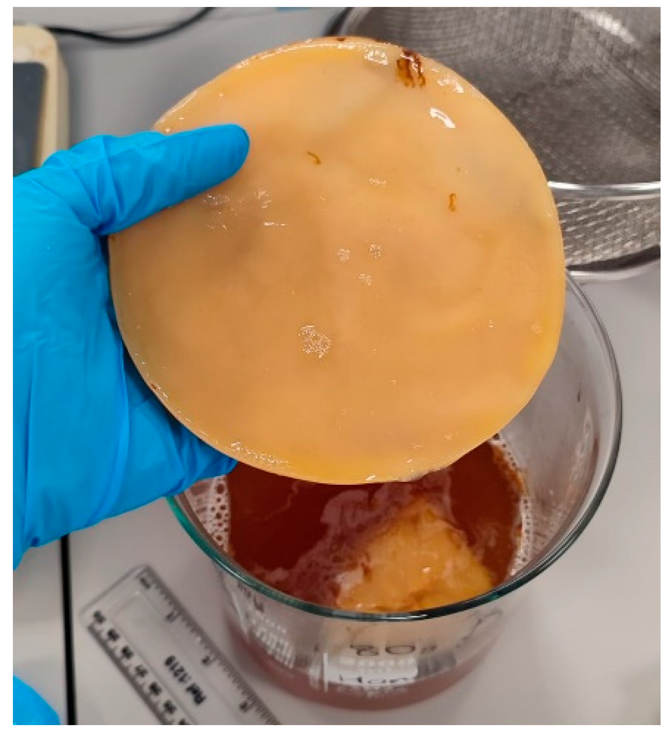 Preprints 164490 g001