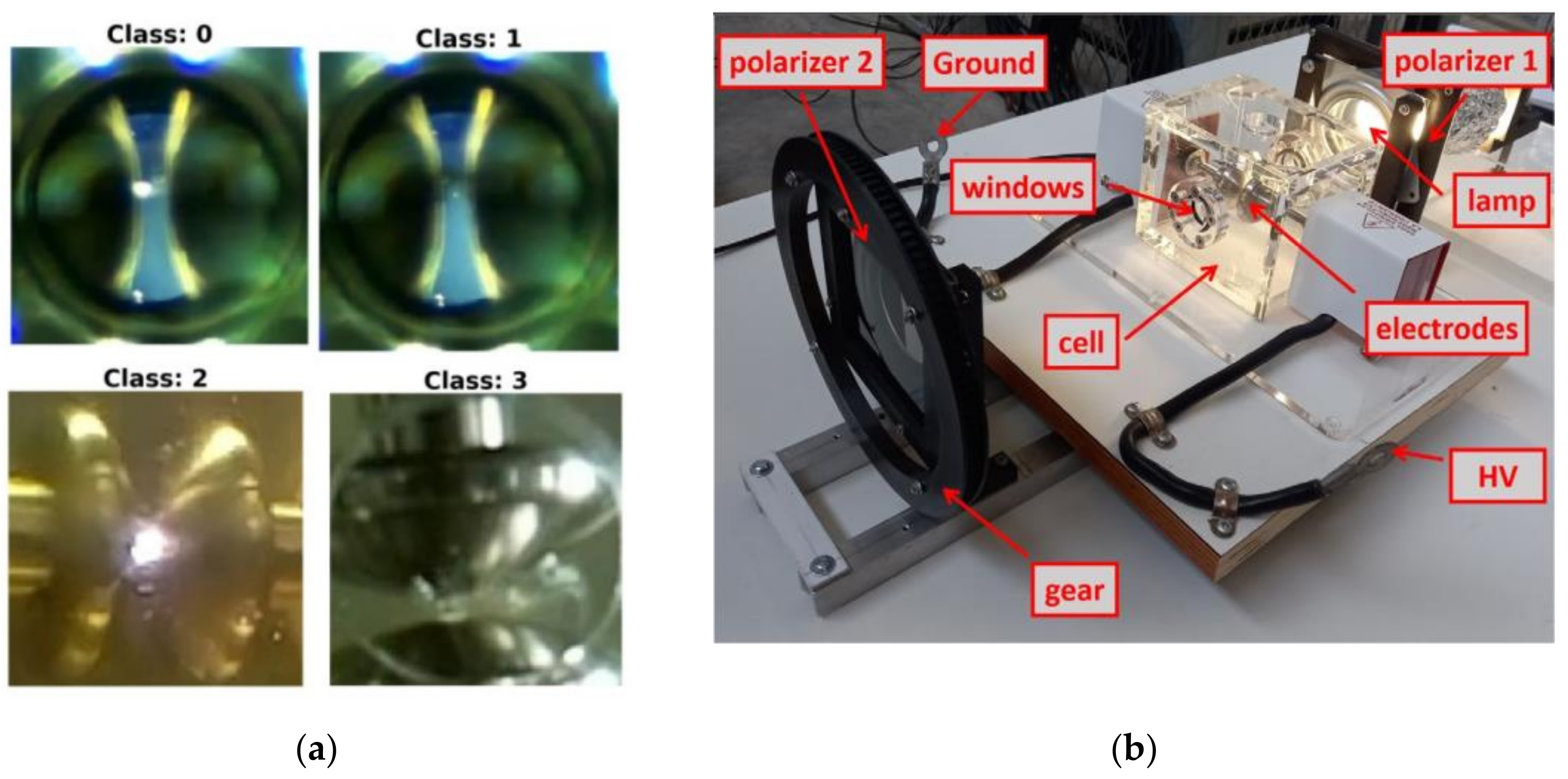Preprints 138988 g001