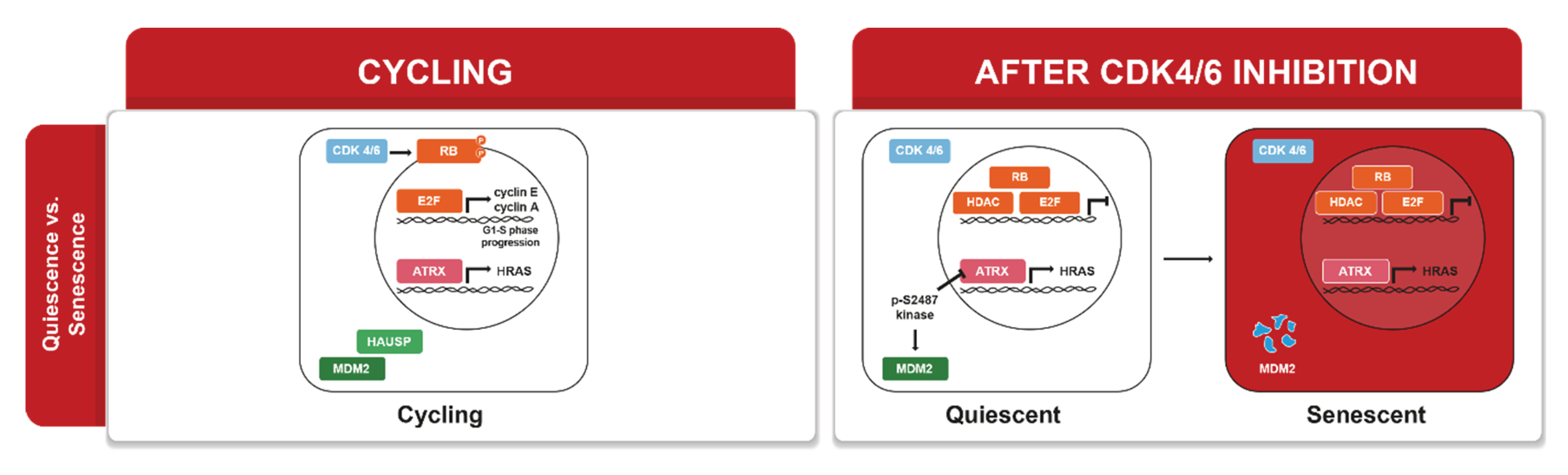 Preprints 198653 g003
