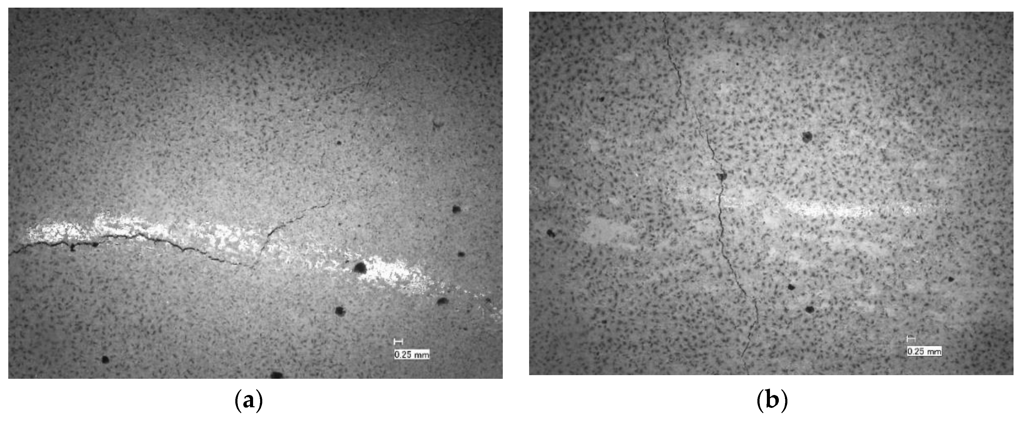 Preprints 88613 g009