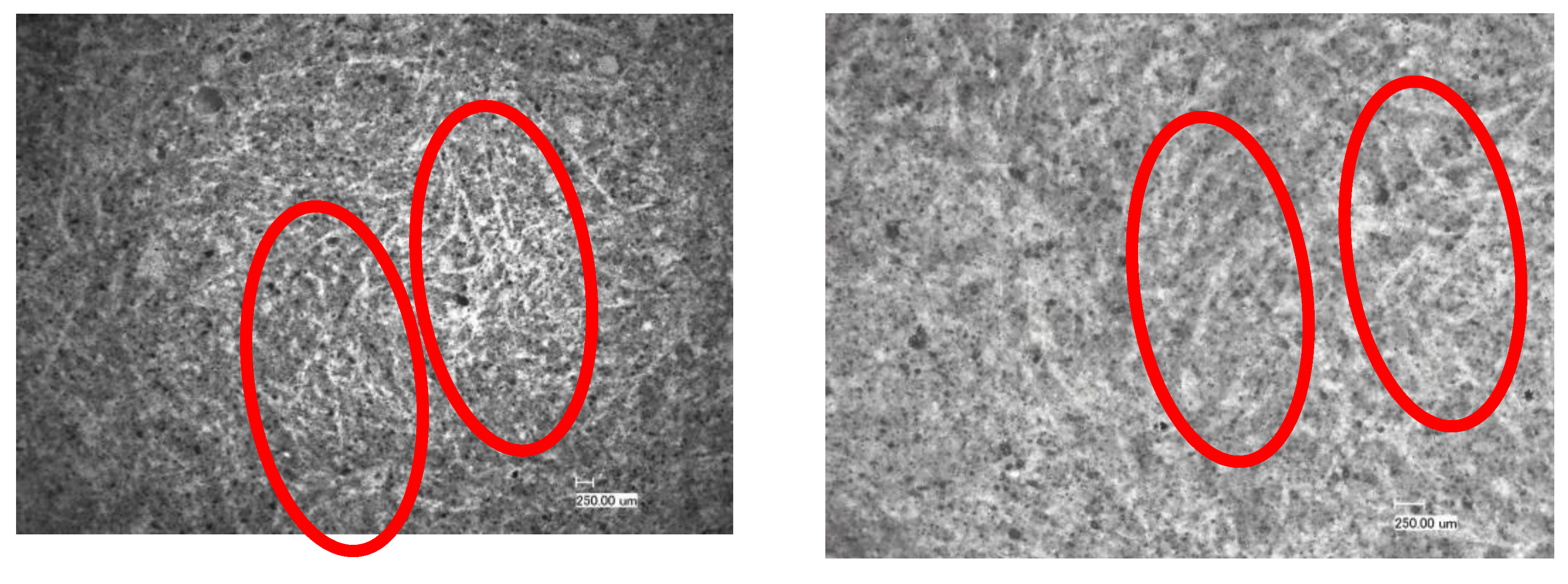 Preprints 88613 g010