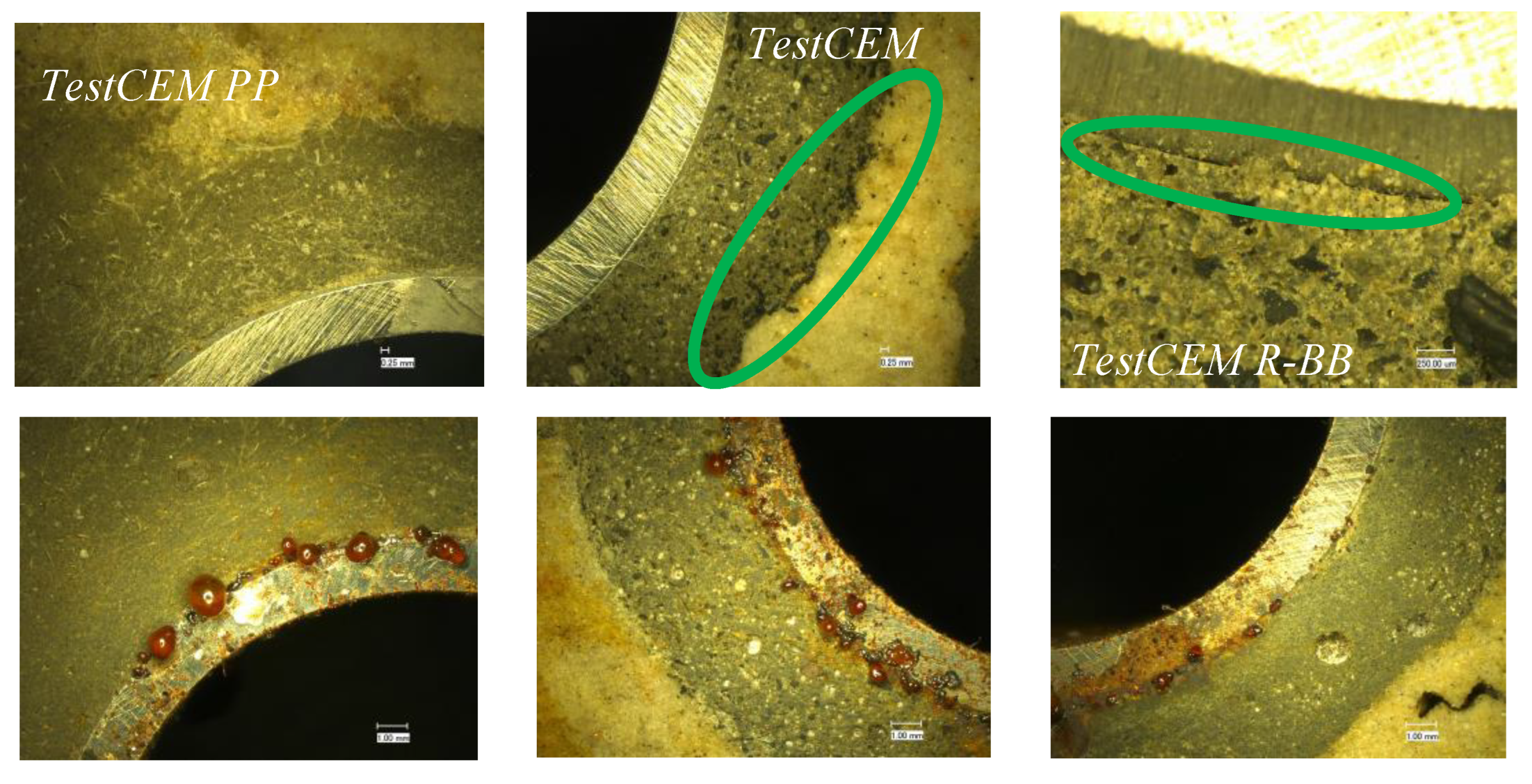 Preprints 88613 g017