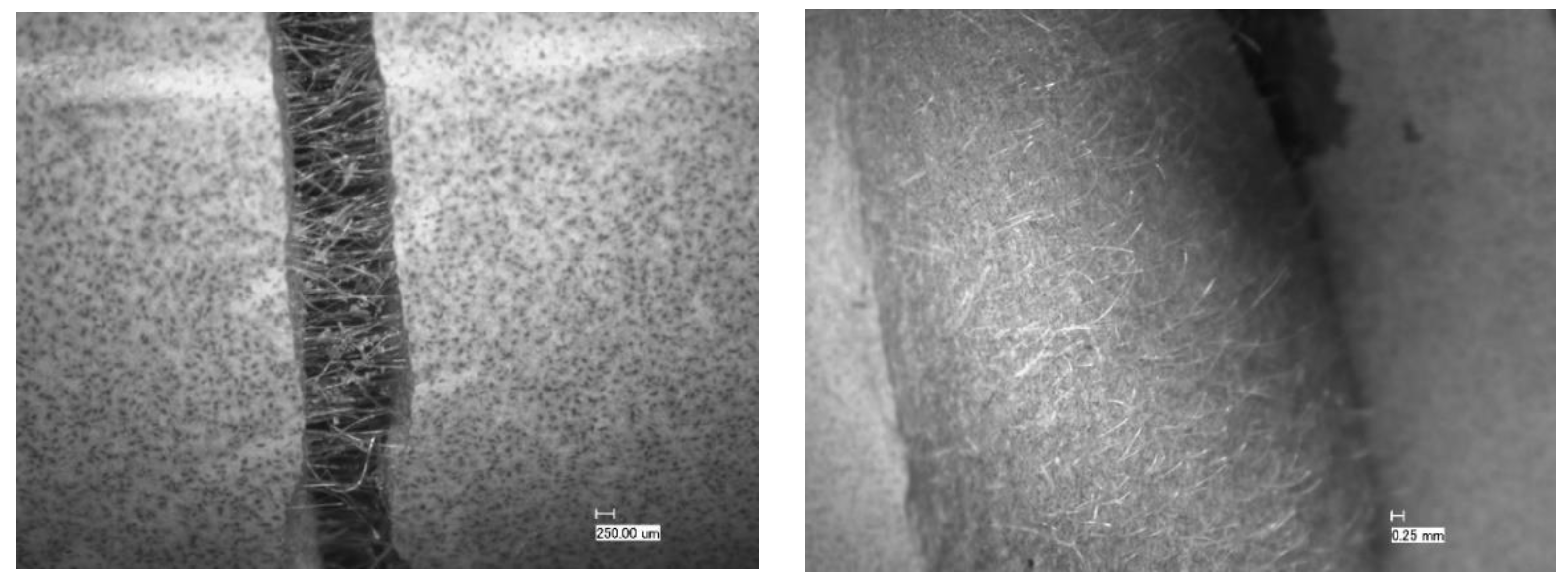 Preprints 88613 g018