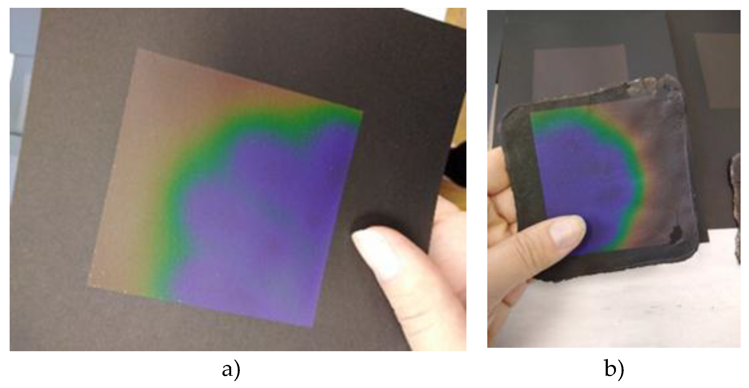 Preprints 151636 g002