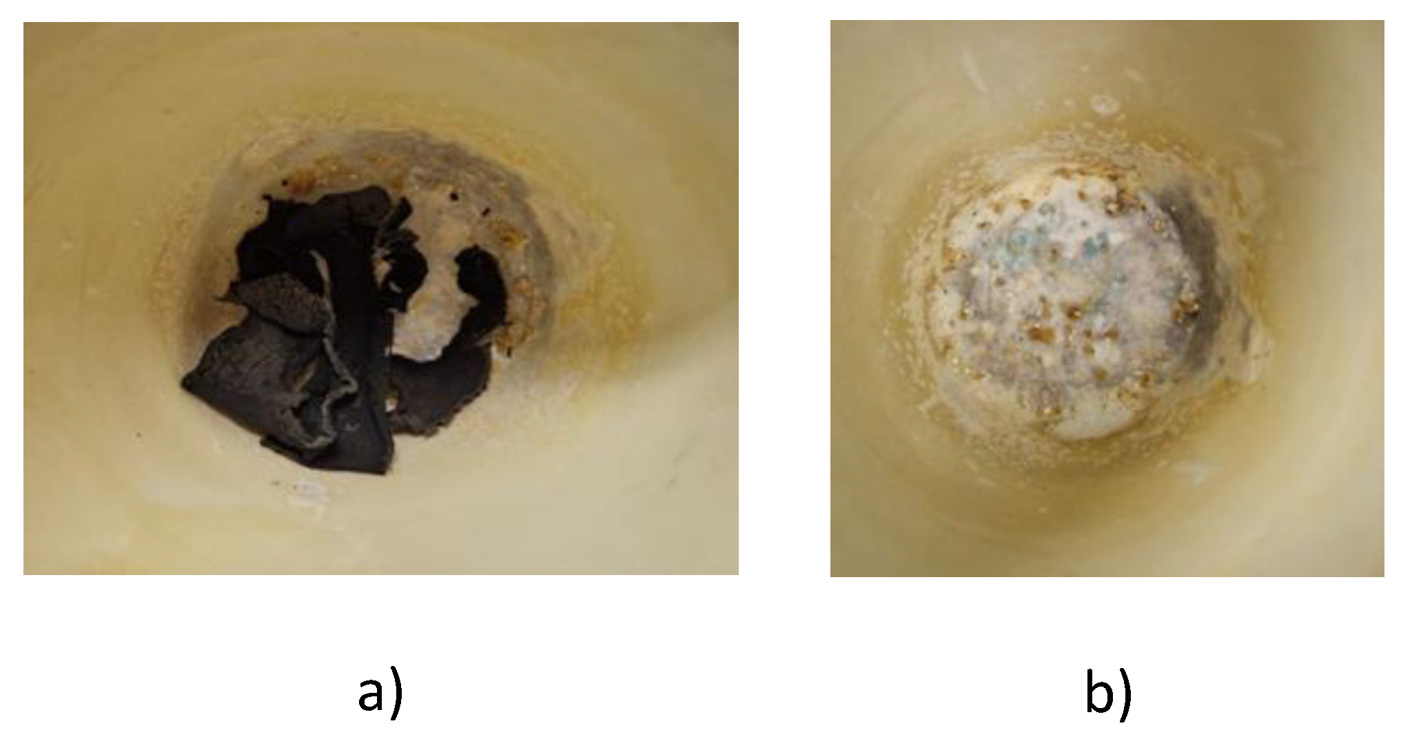 Preprints 151636 g006