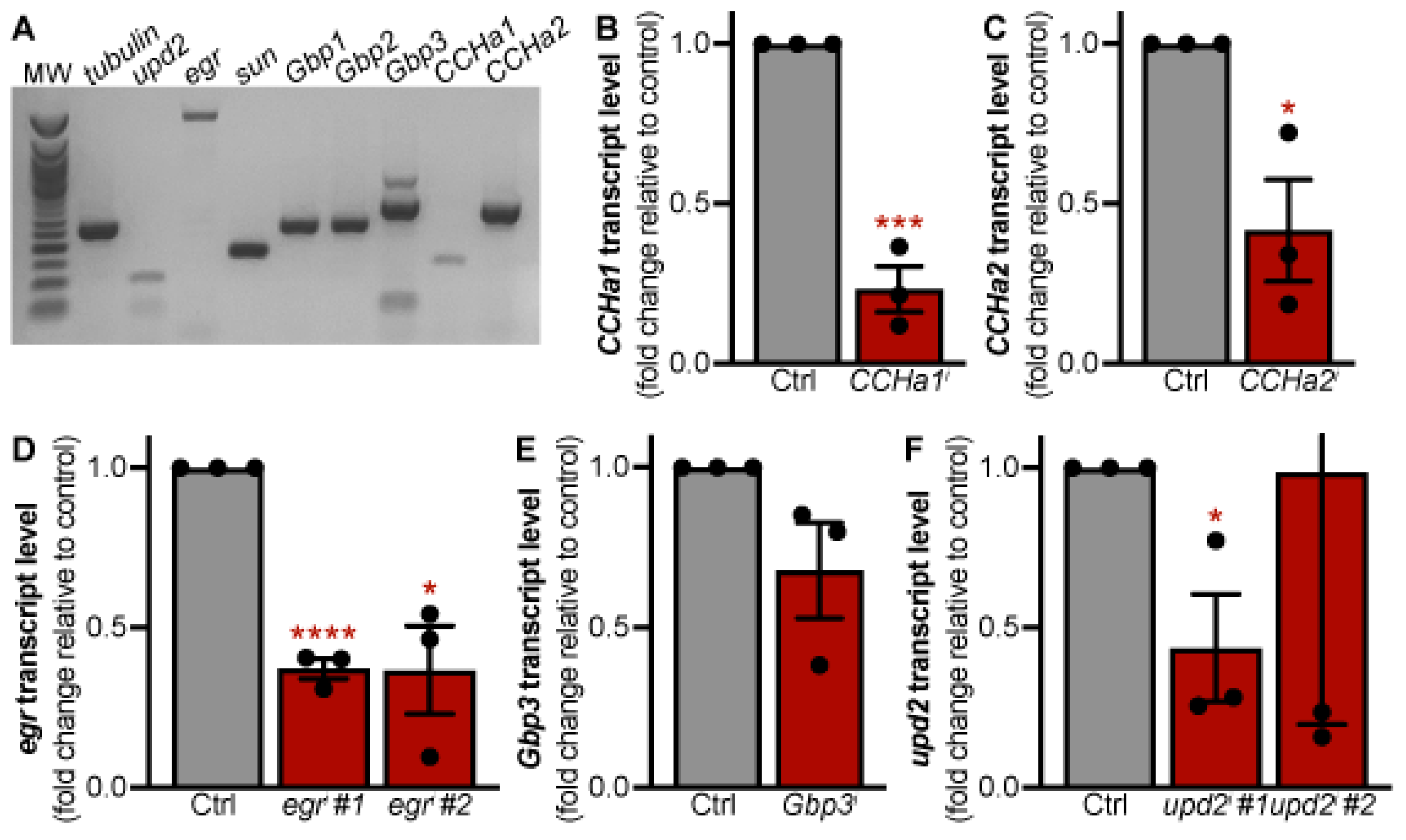 Preprints 147233 g001