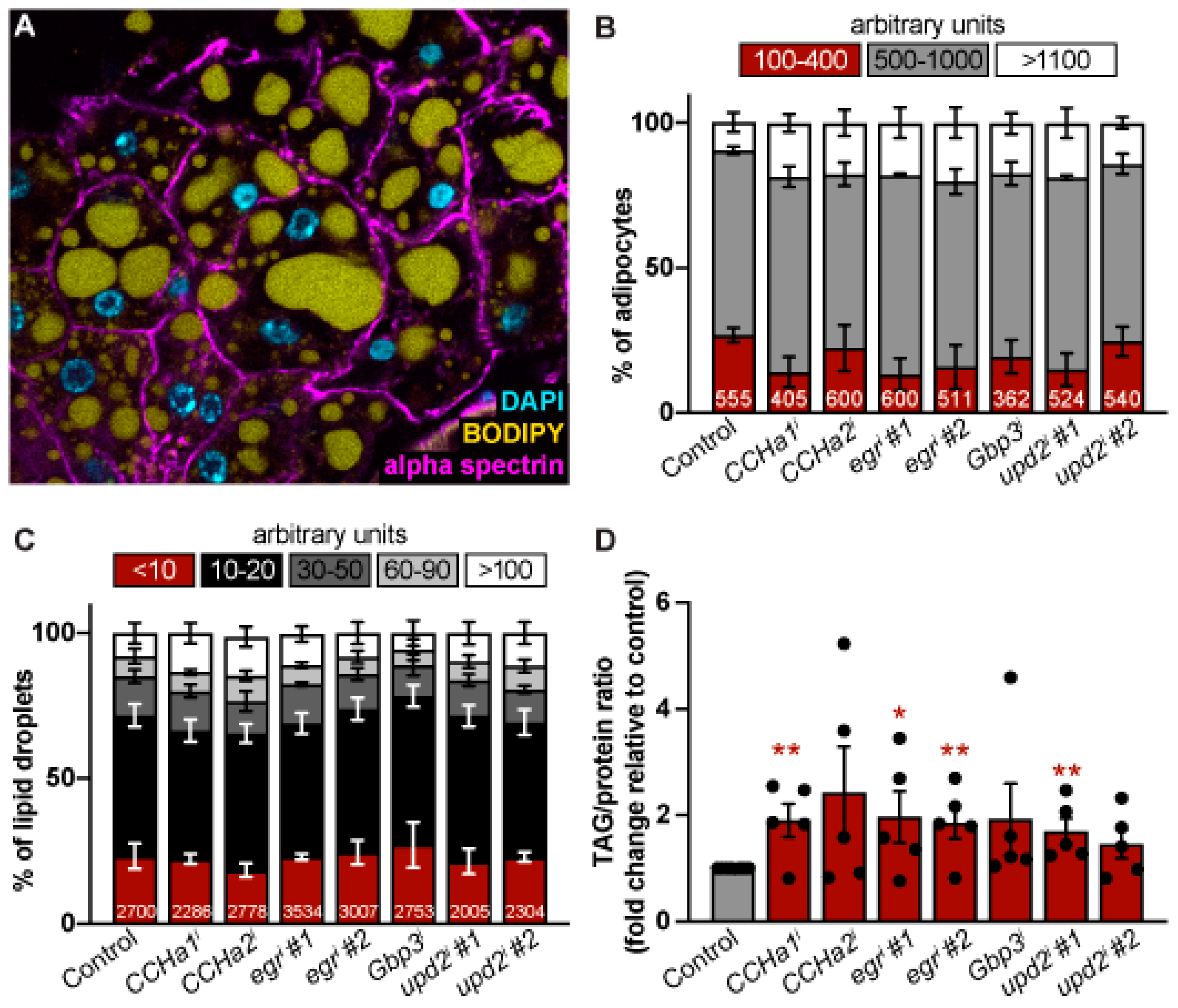 Preprints 147233 g002