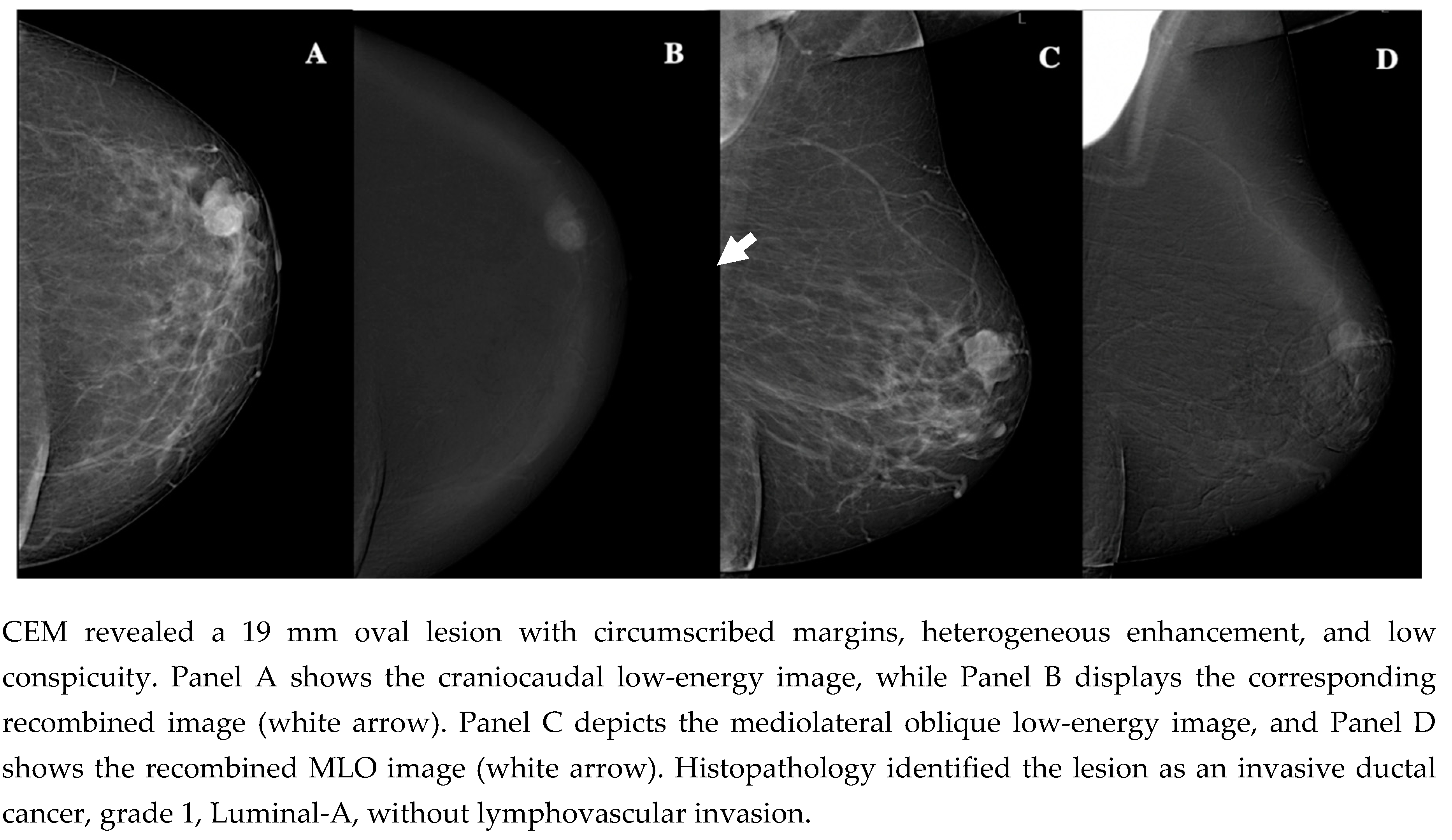 Preprints 151294 g001