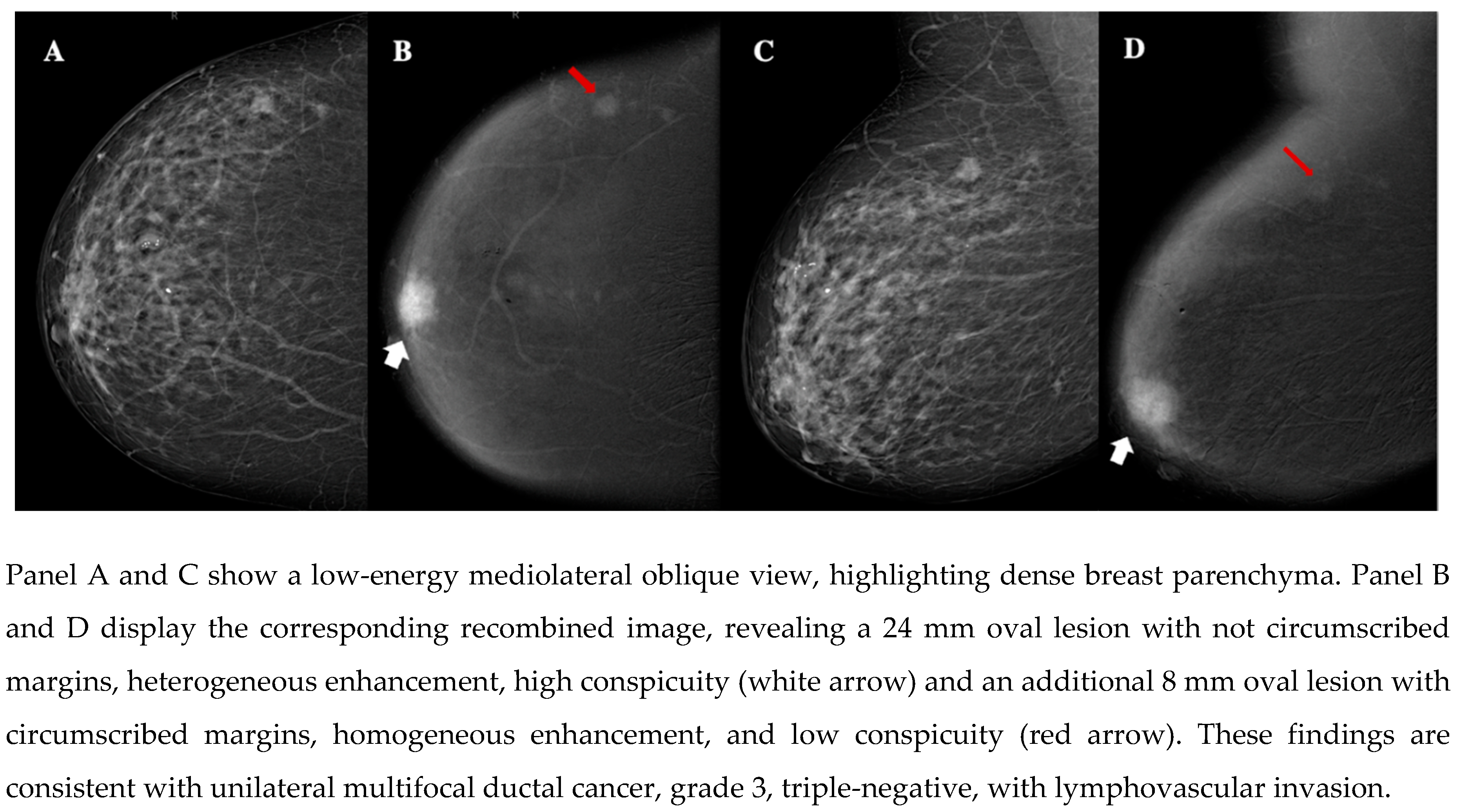 Preprints 151294 g002