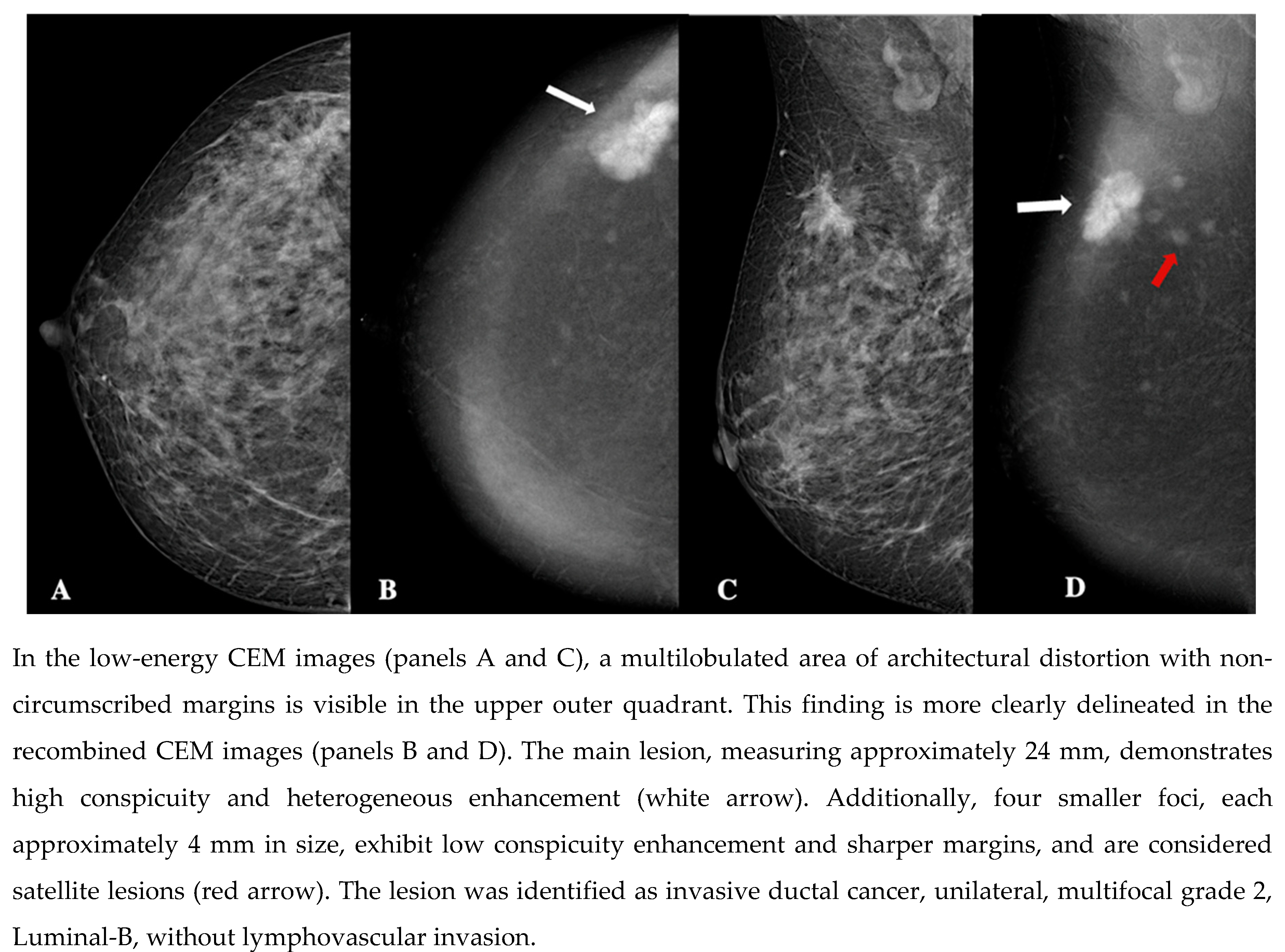 Preprints 151294 g003