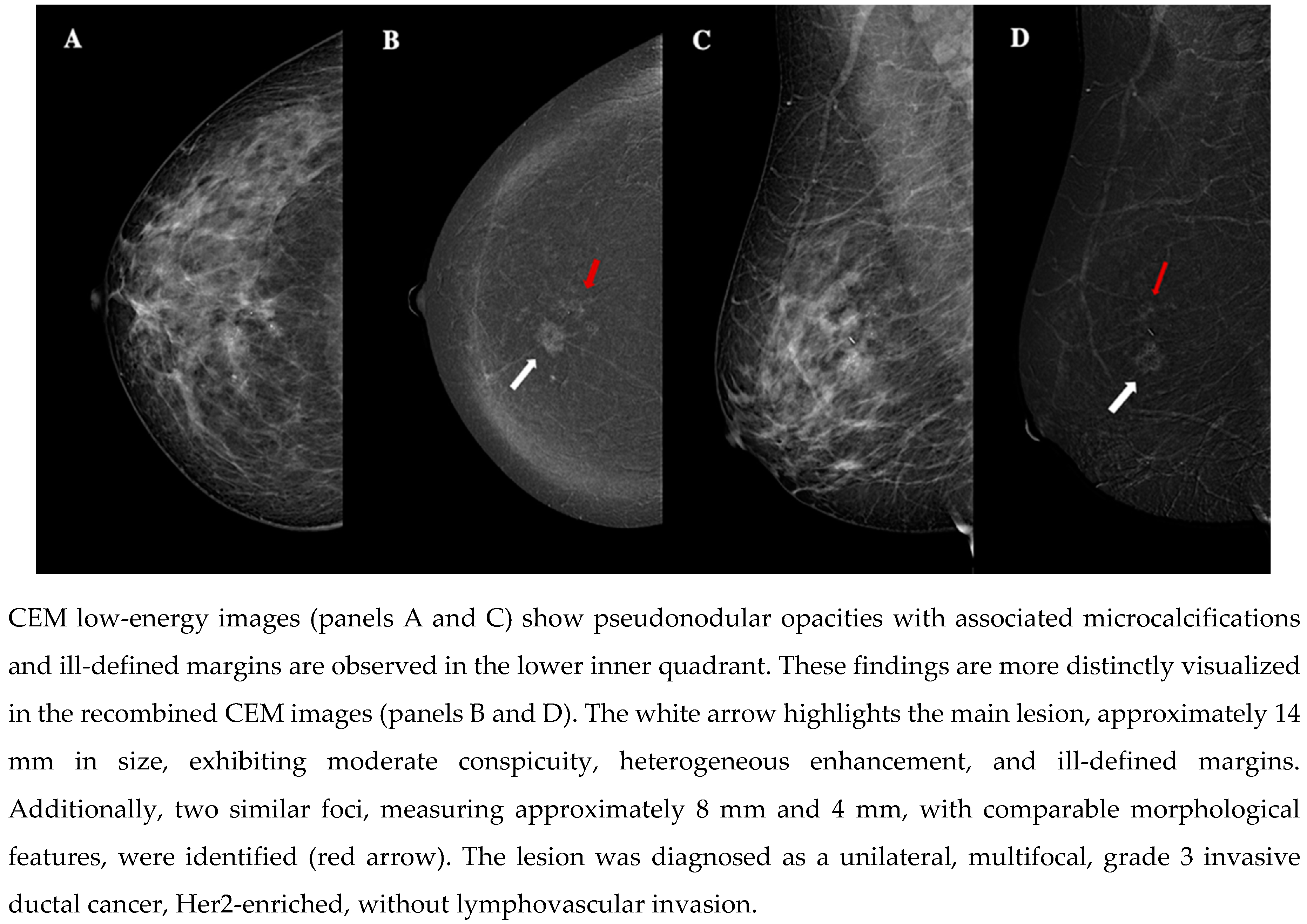 Preprints 151294 g004