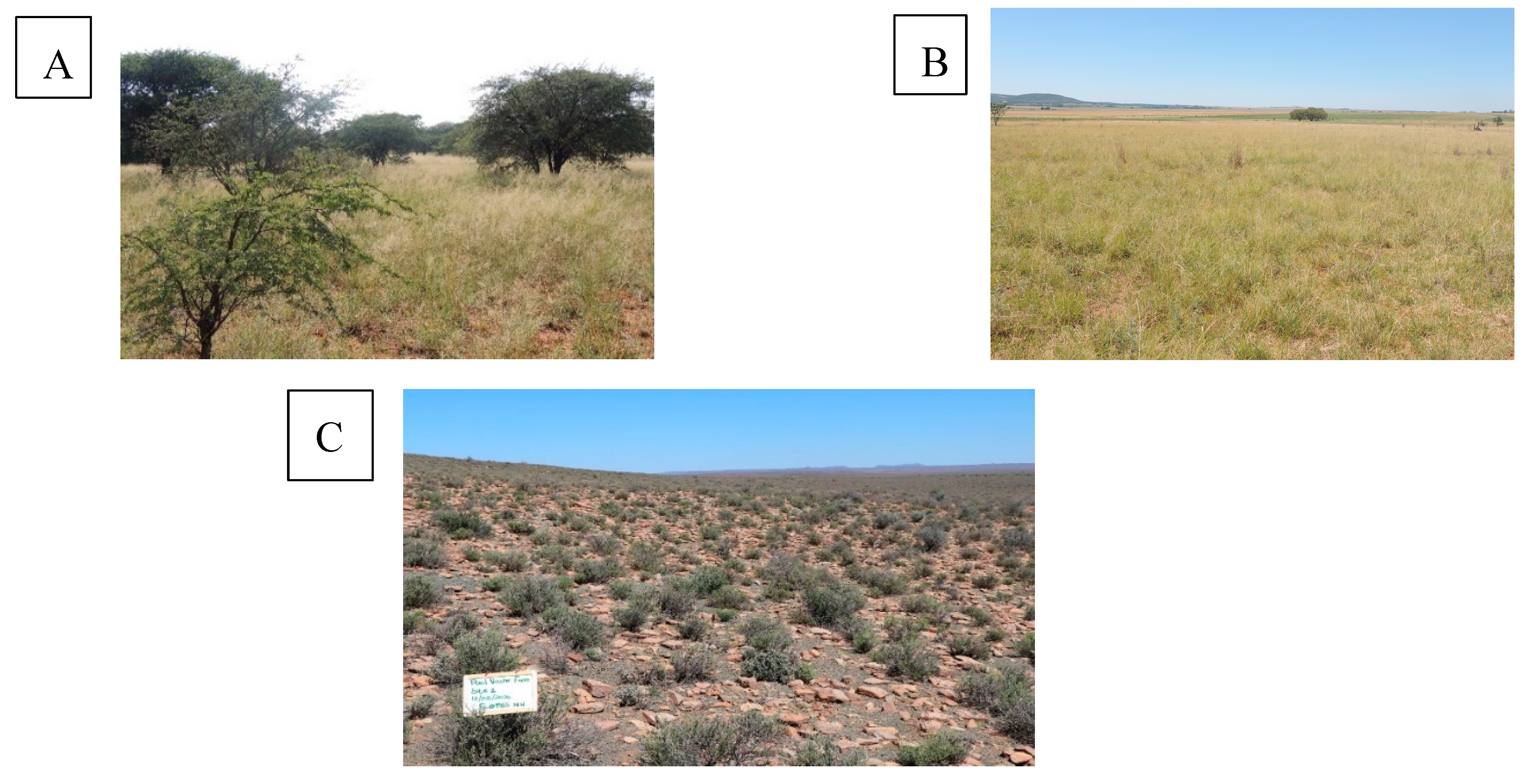 Preprints 165173 g002