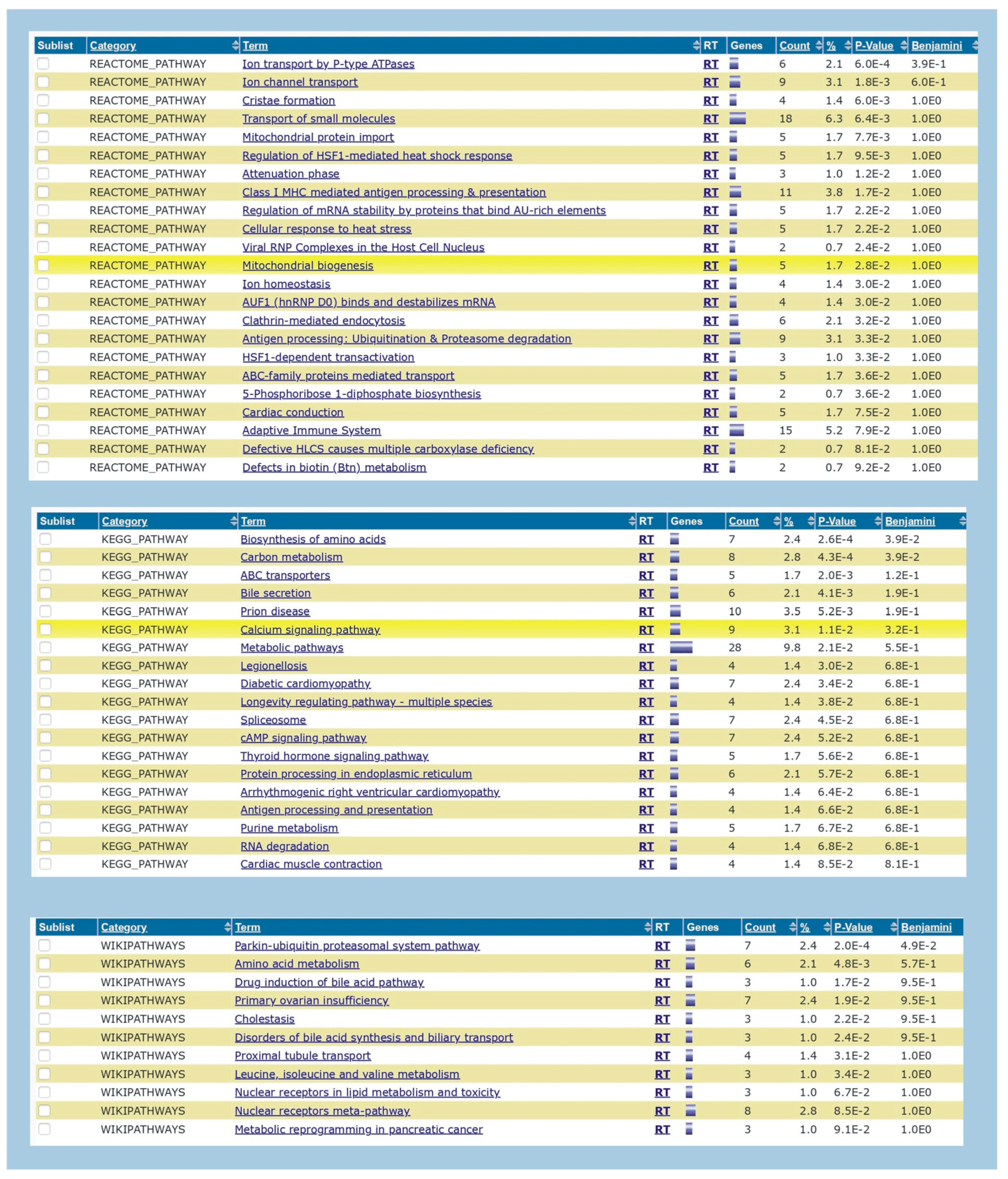 Preprints 81111 g006