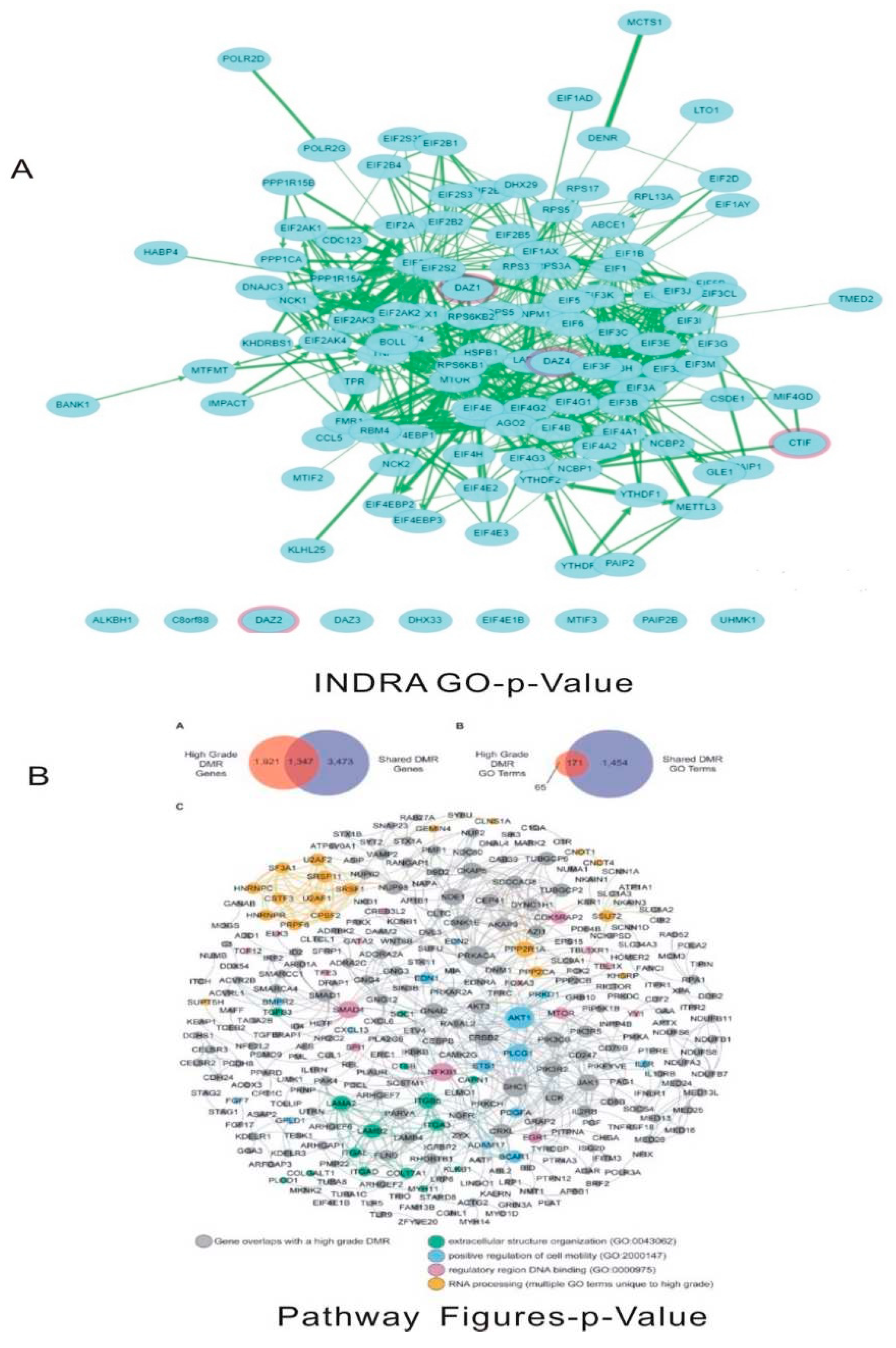 Preprints 81111 g008
