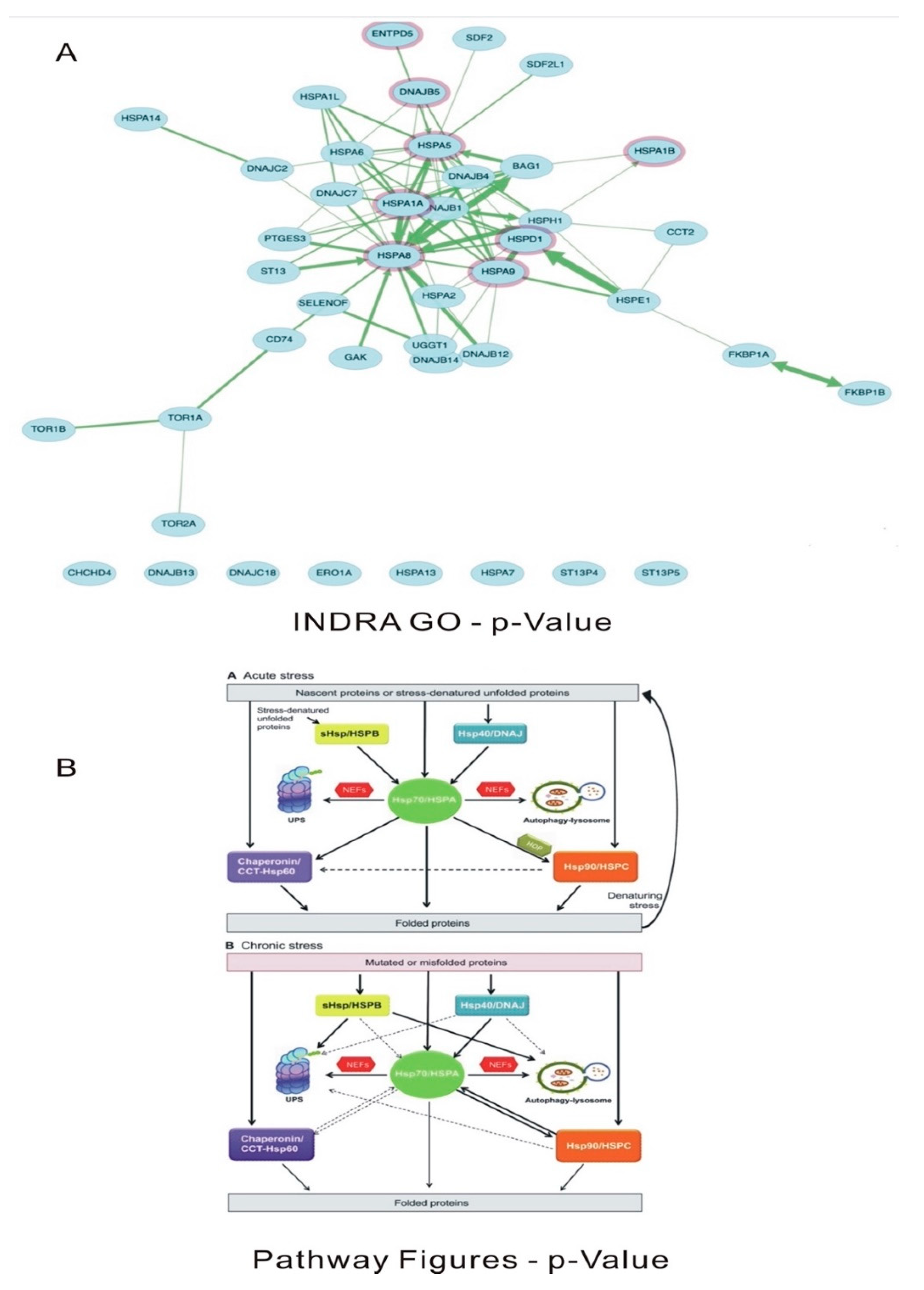 Preprints 81111 g009