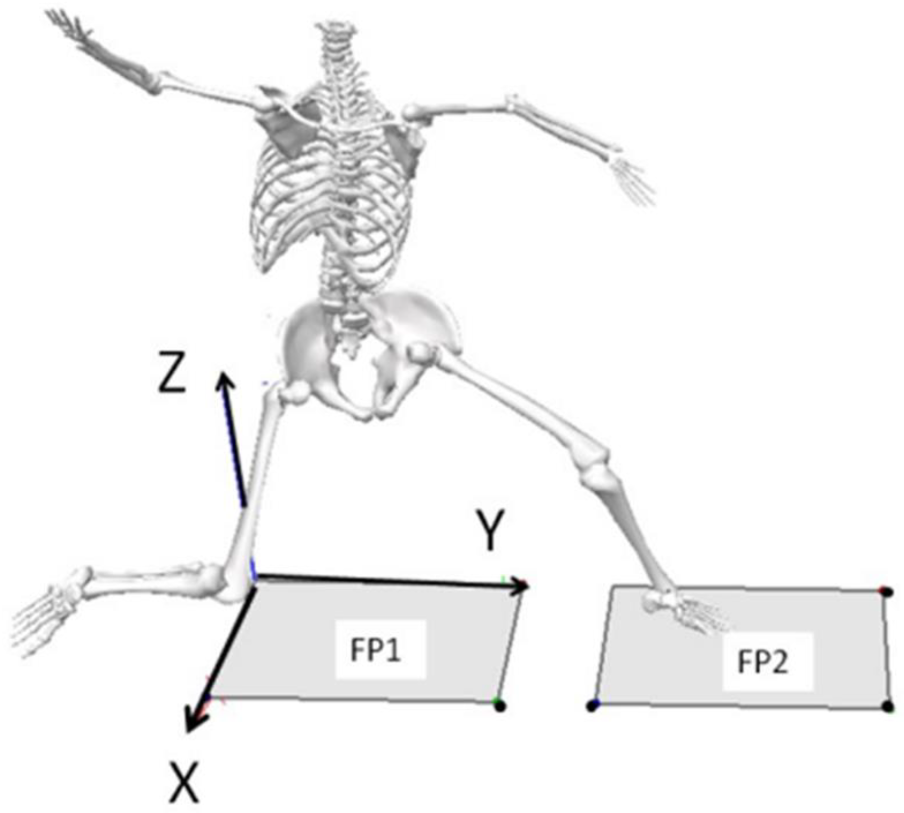 Preprints 171045 g002
