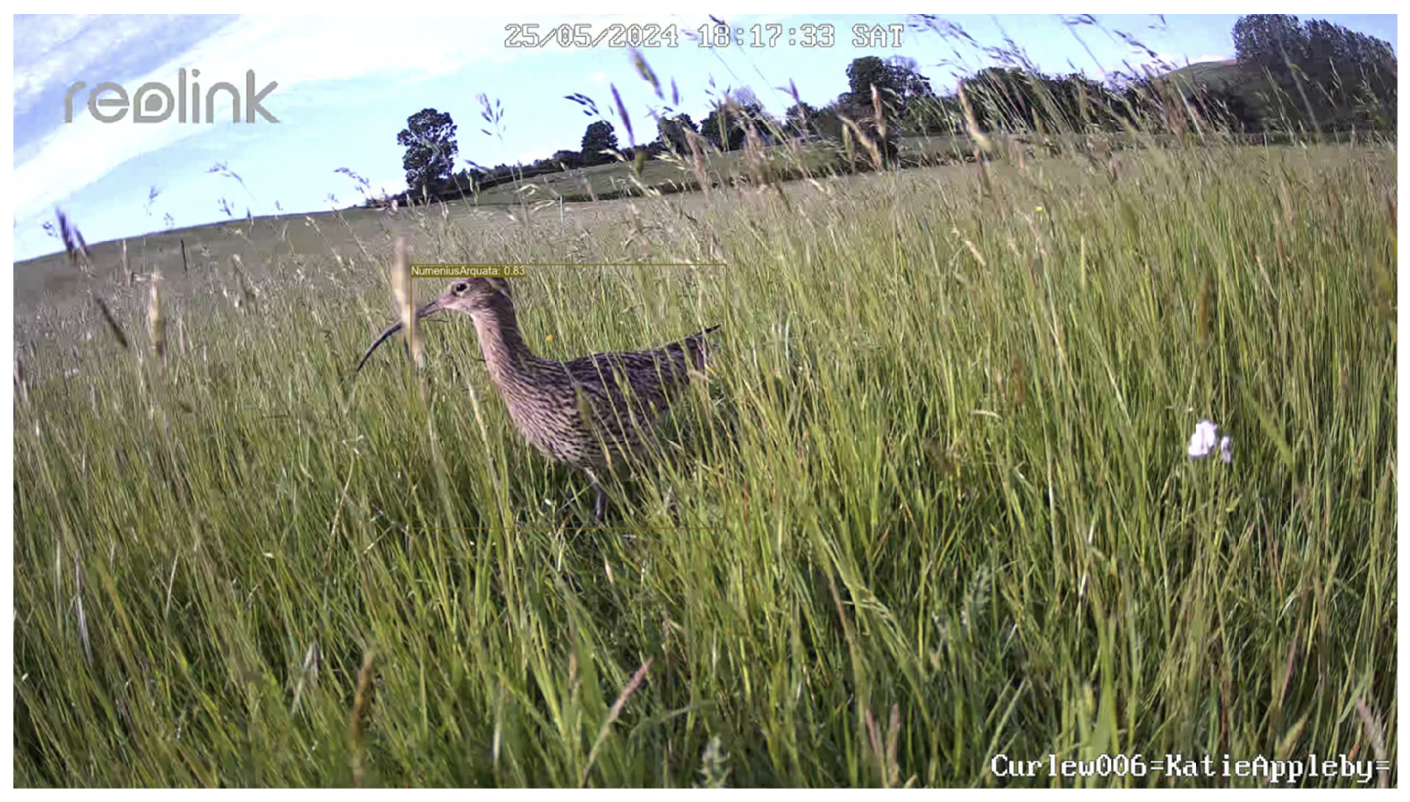 Preprints 140352 g001