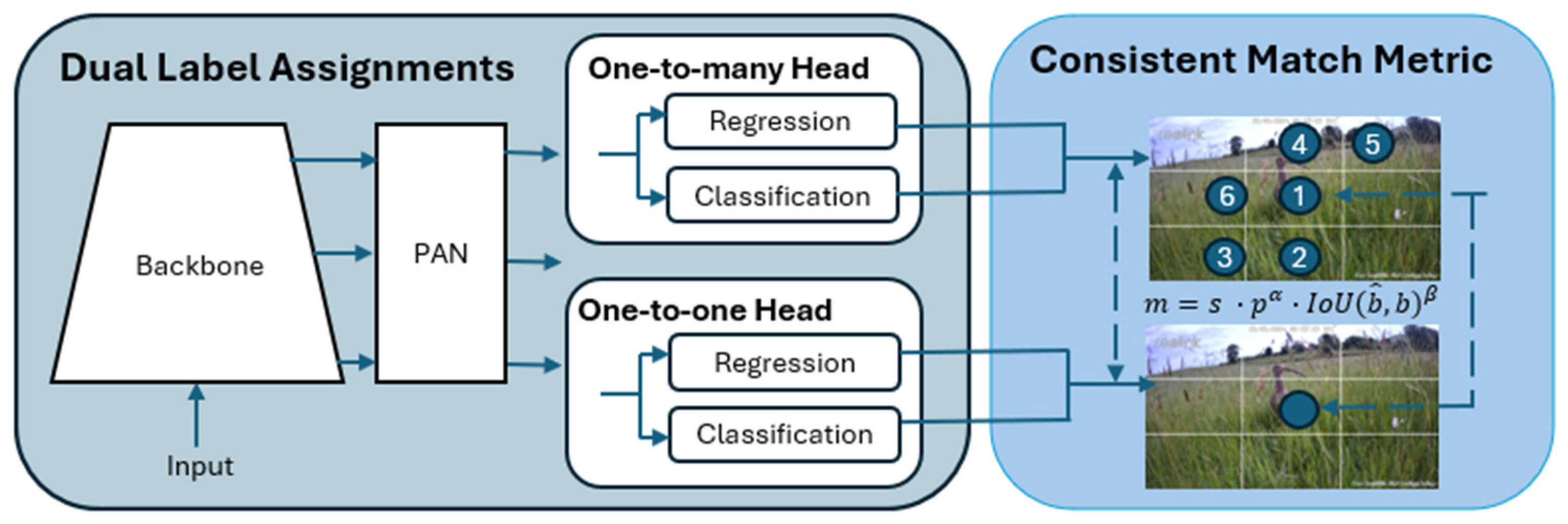 Preprints 140352 g004