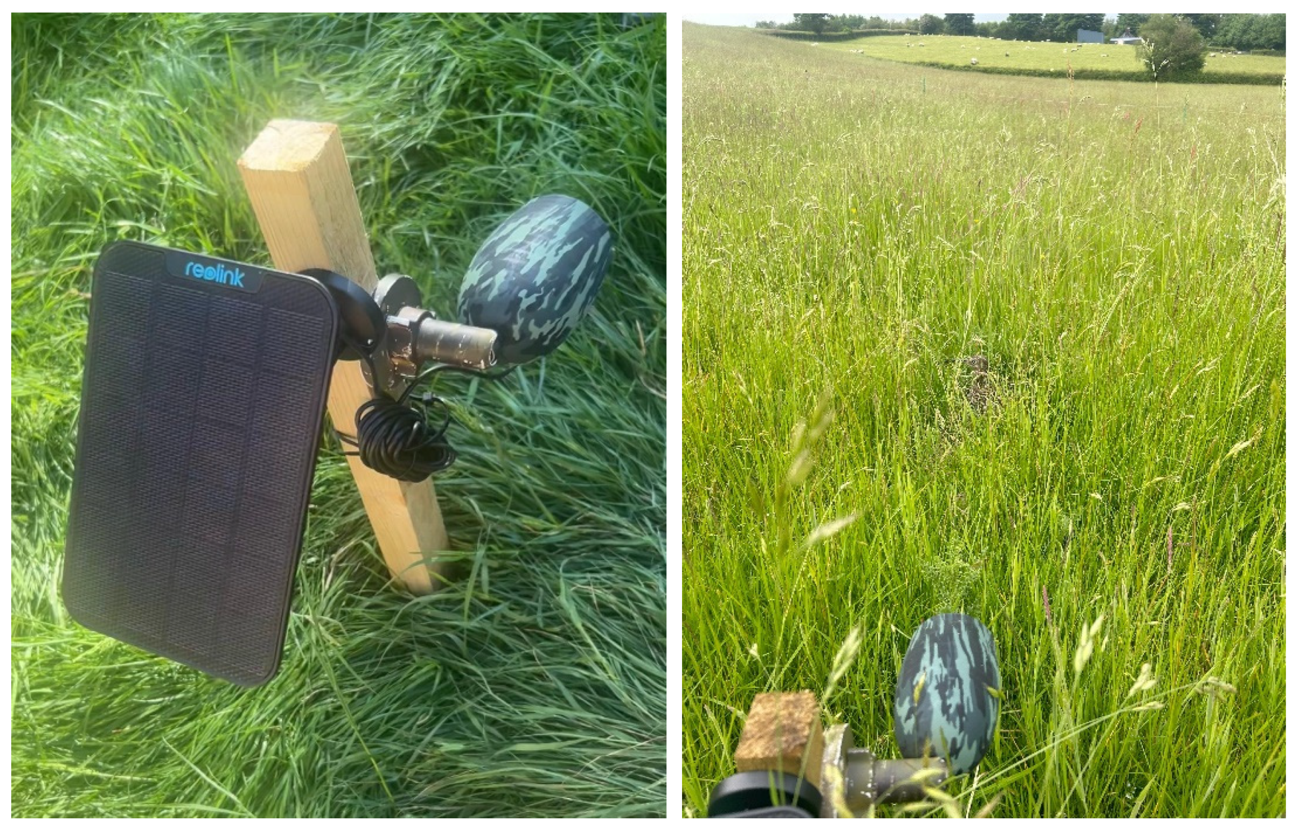 Preprints 140352 g005