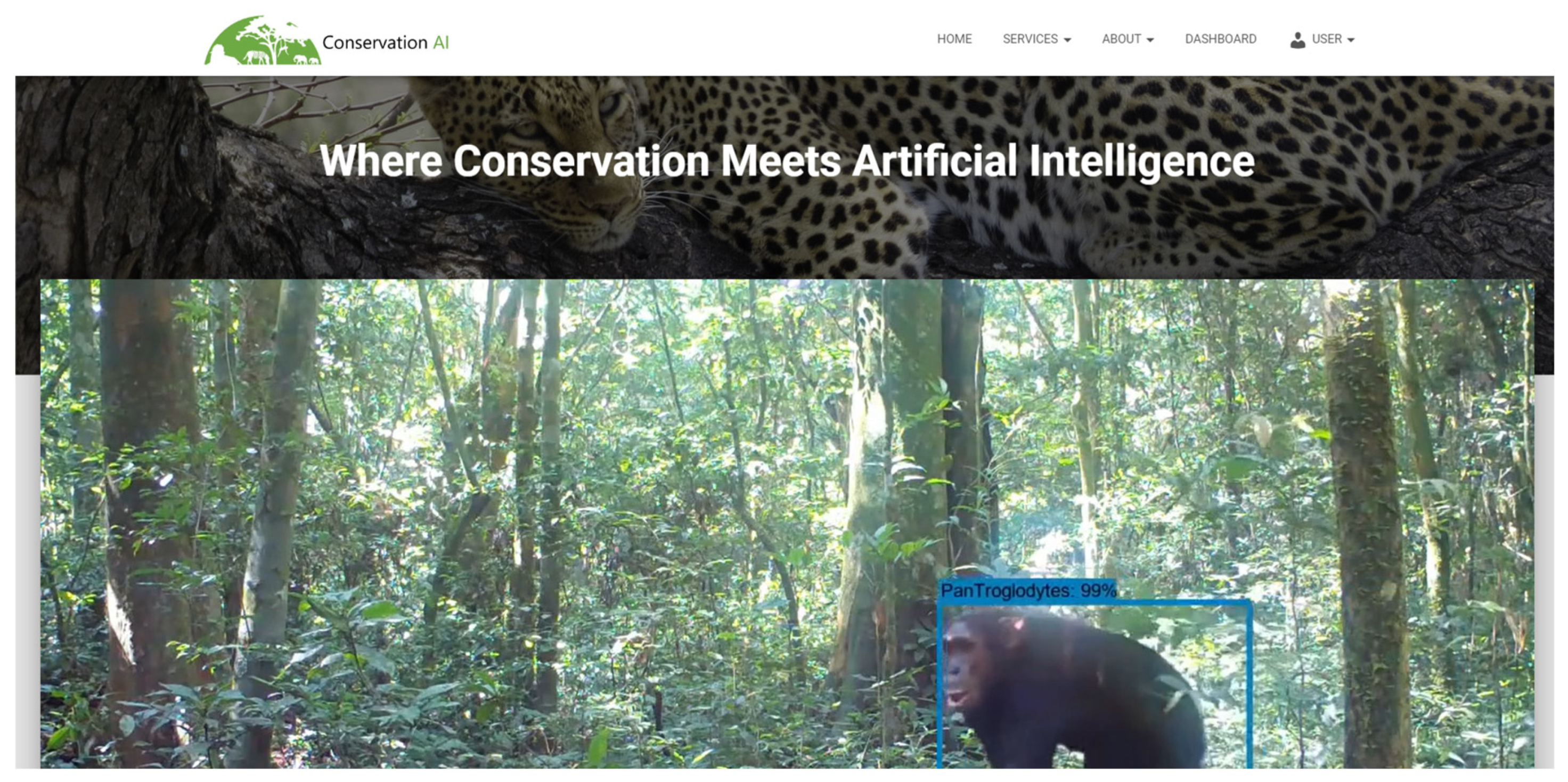 Preprints 140352 g007