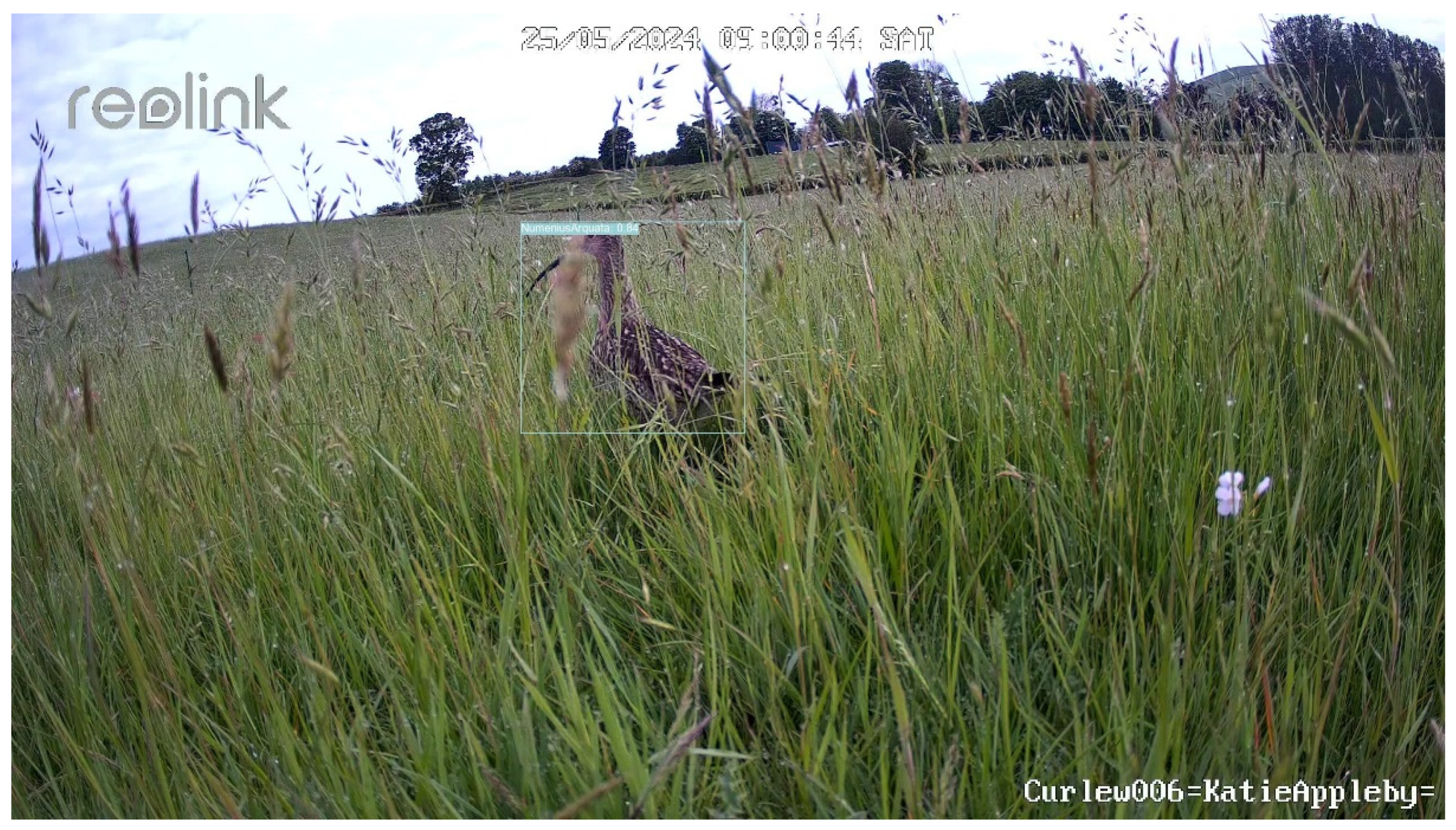 Preprints 140352 g014