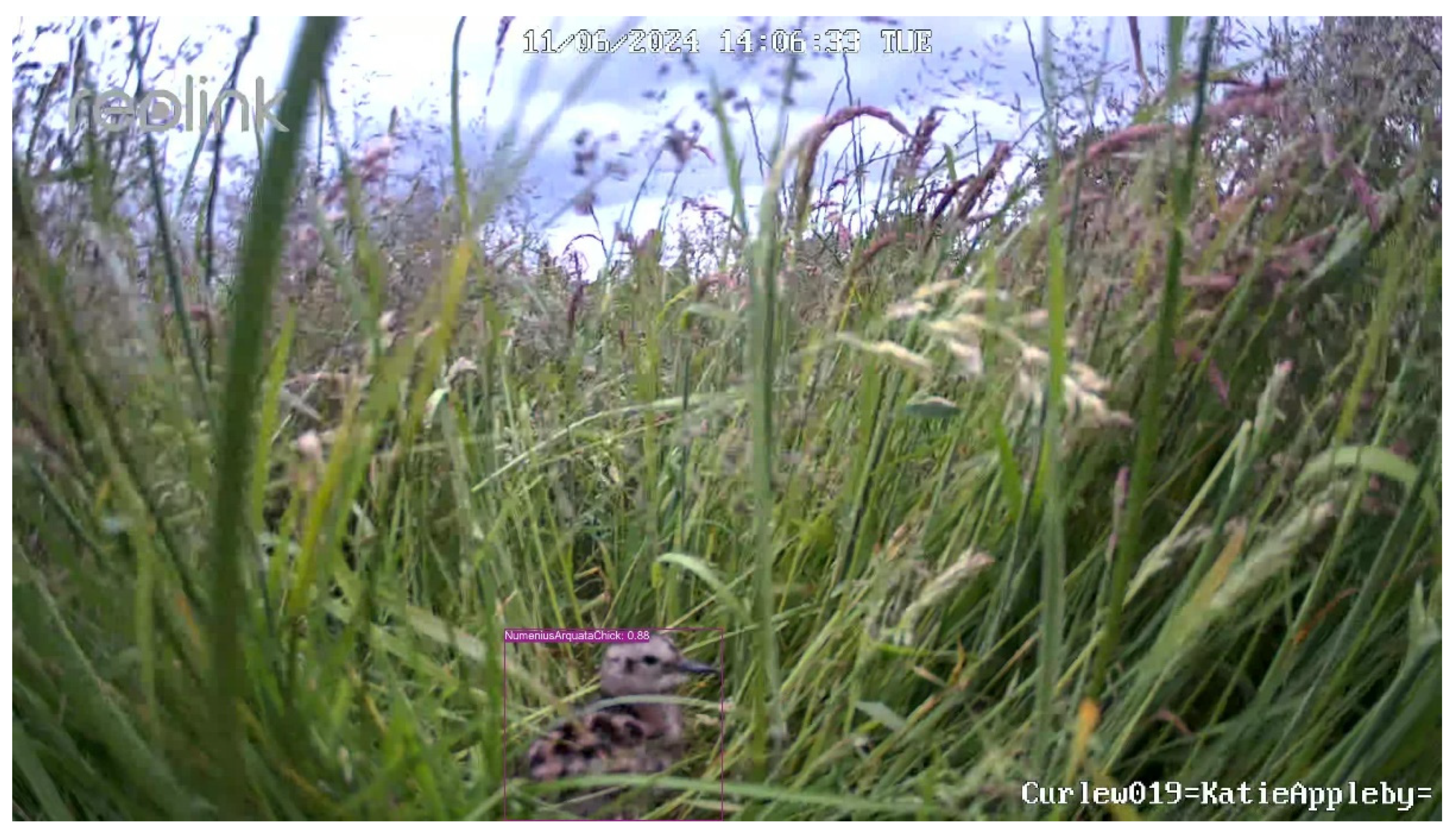 Preprints 140352 g015