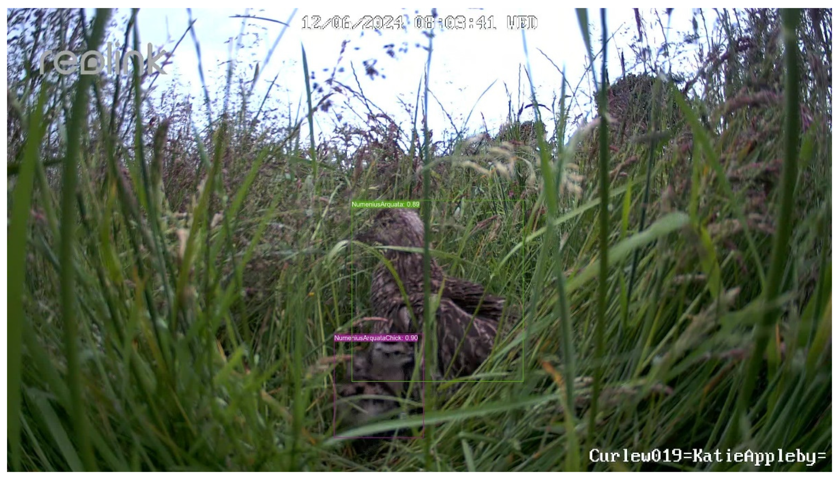 Preprints 140352 g016