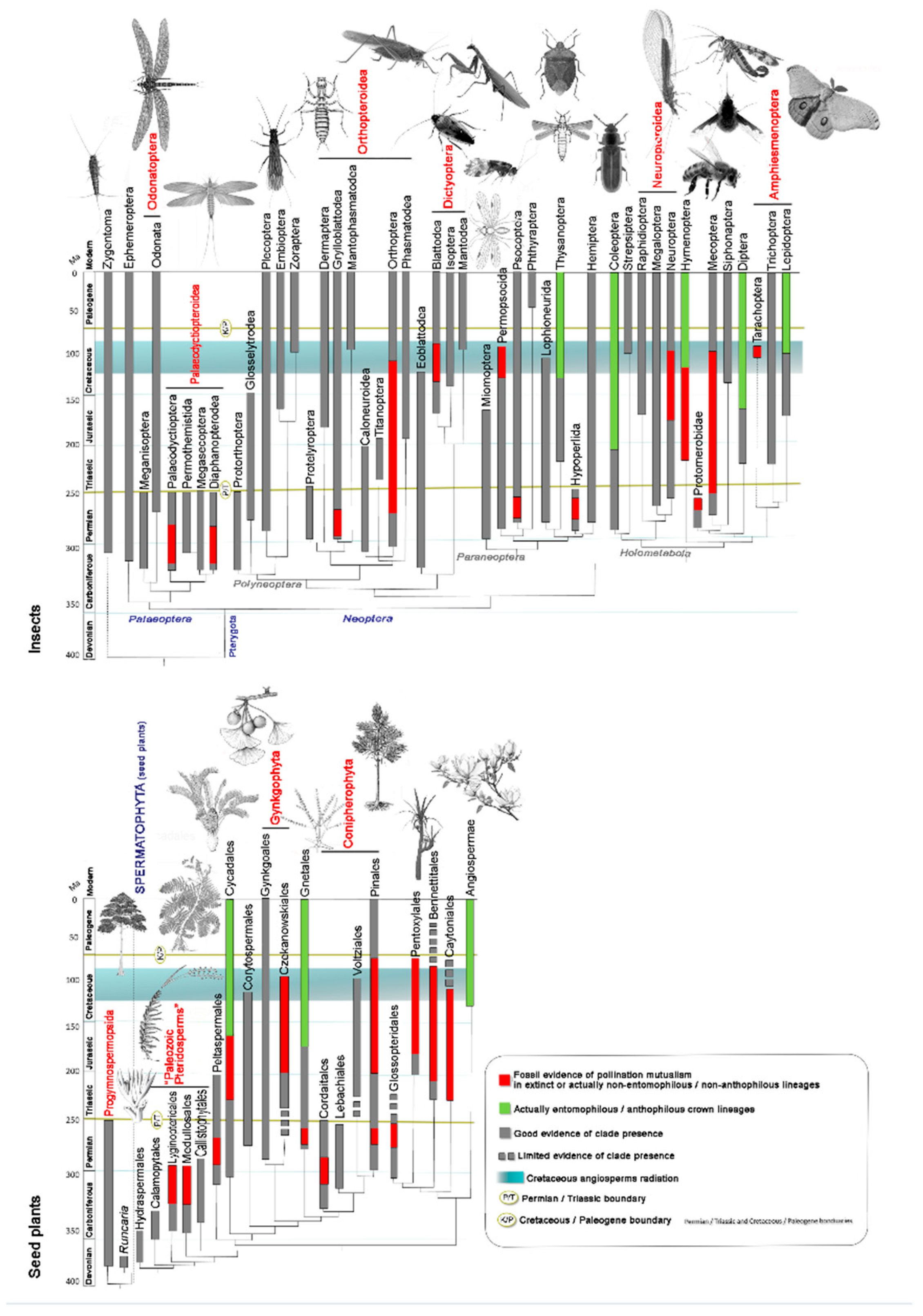 Preprints 185275 g001