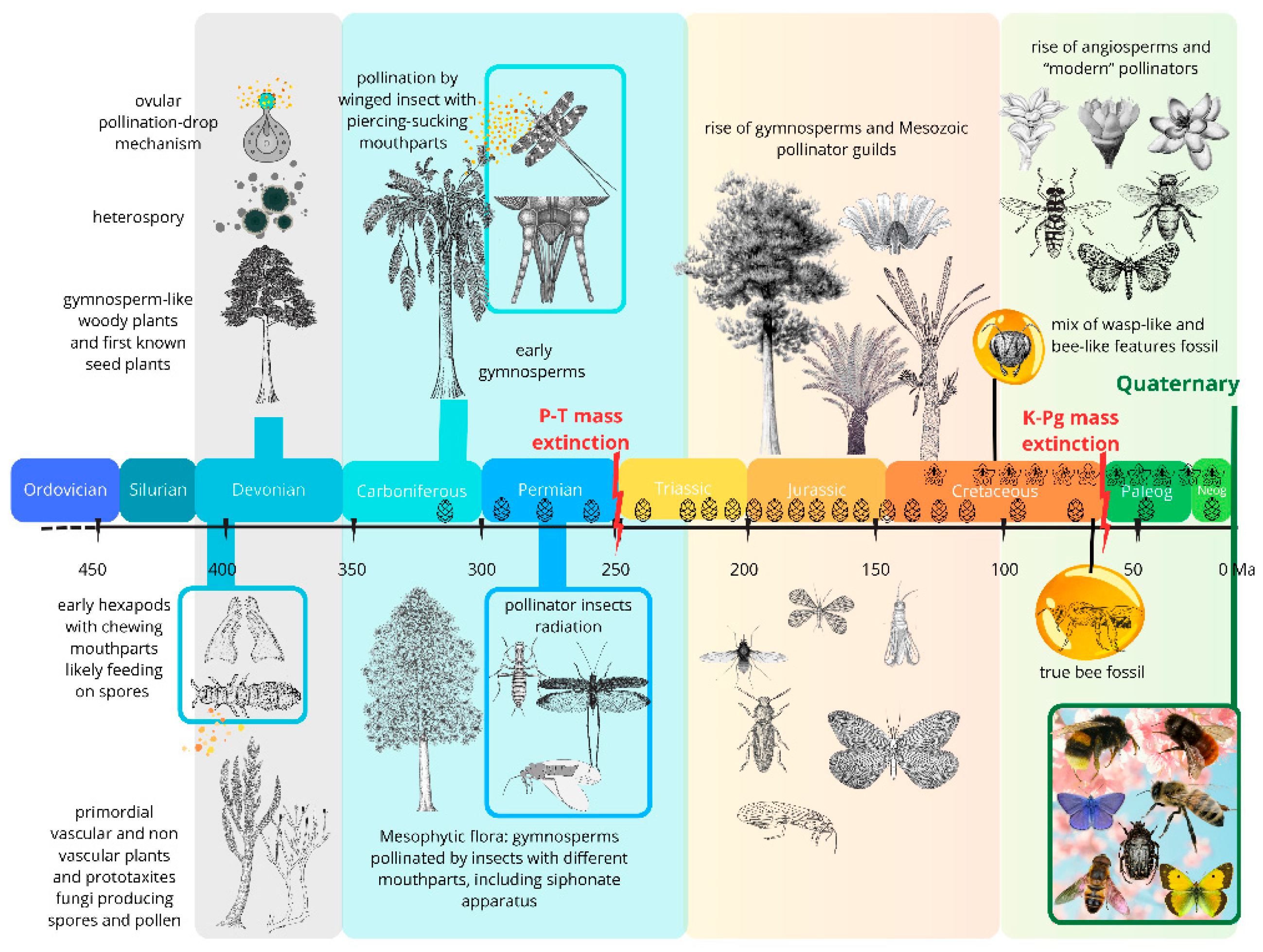 Preprints 185275 g002
