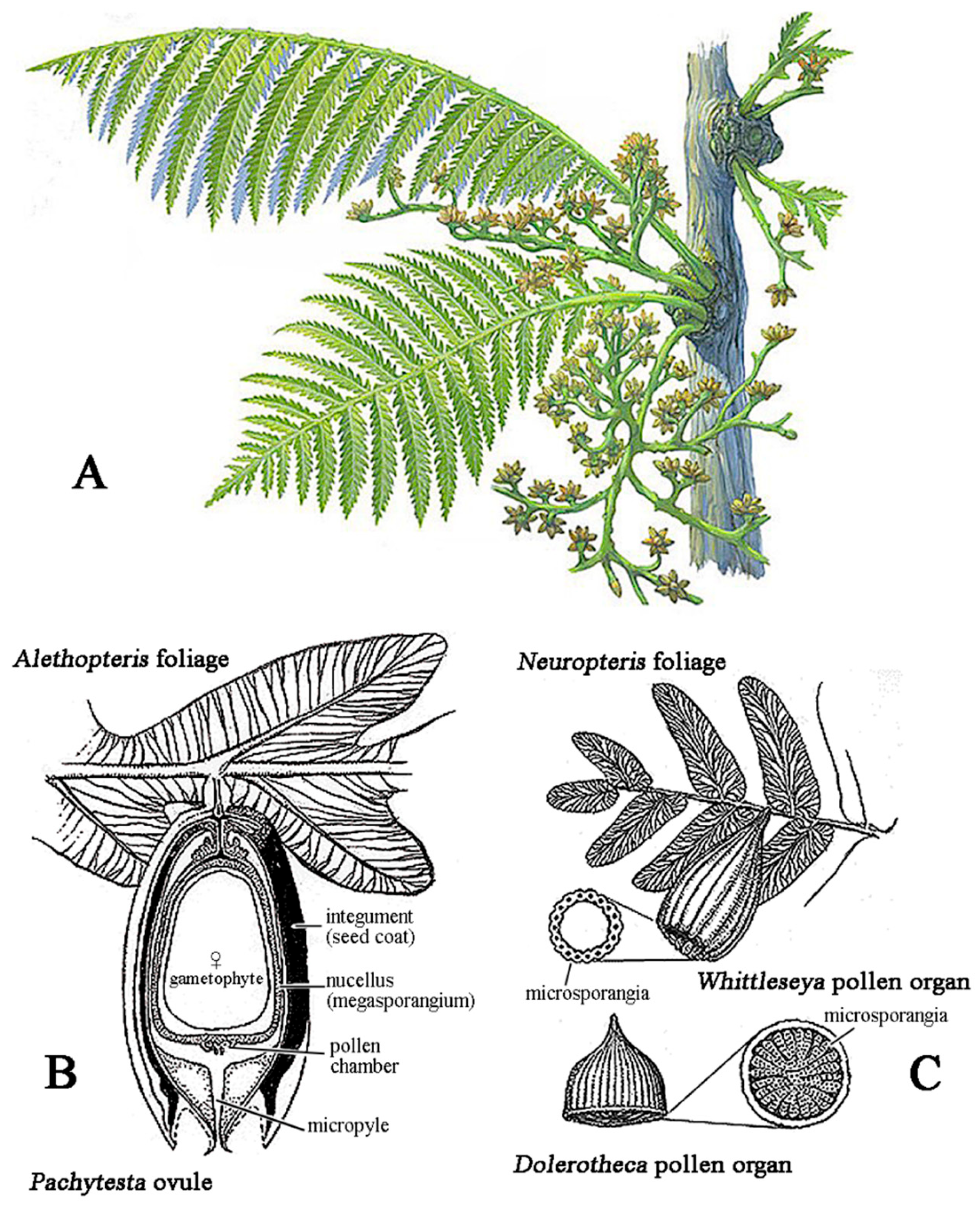 Preprints 185275 g003