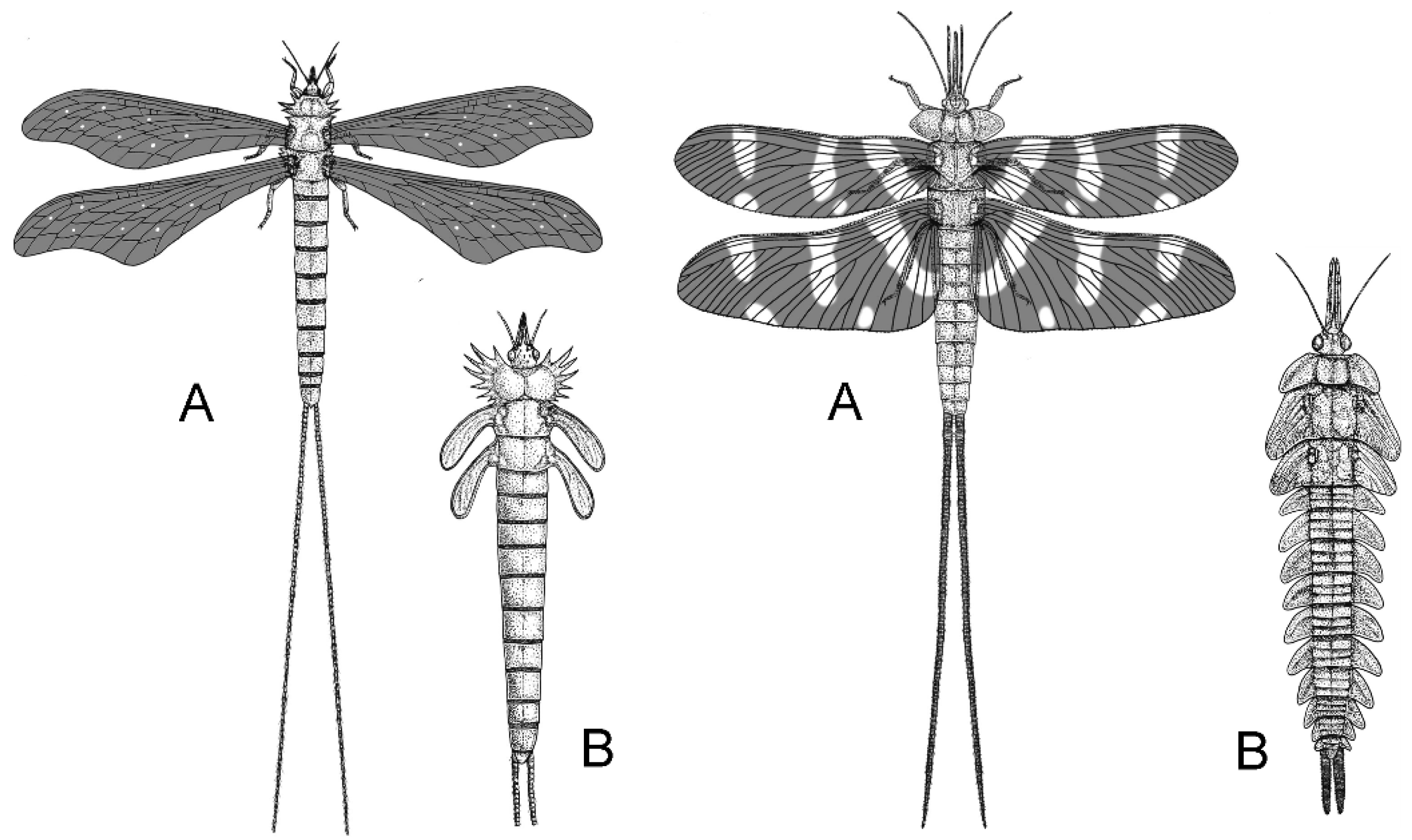 Preprints 185275 g004