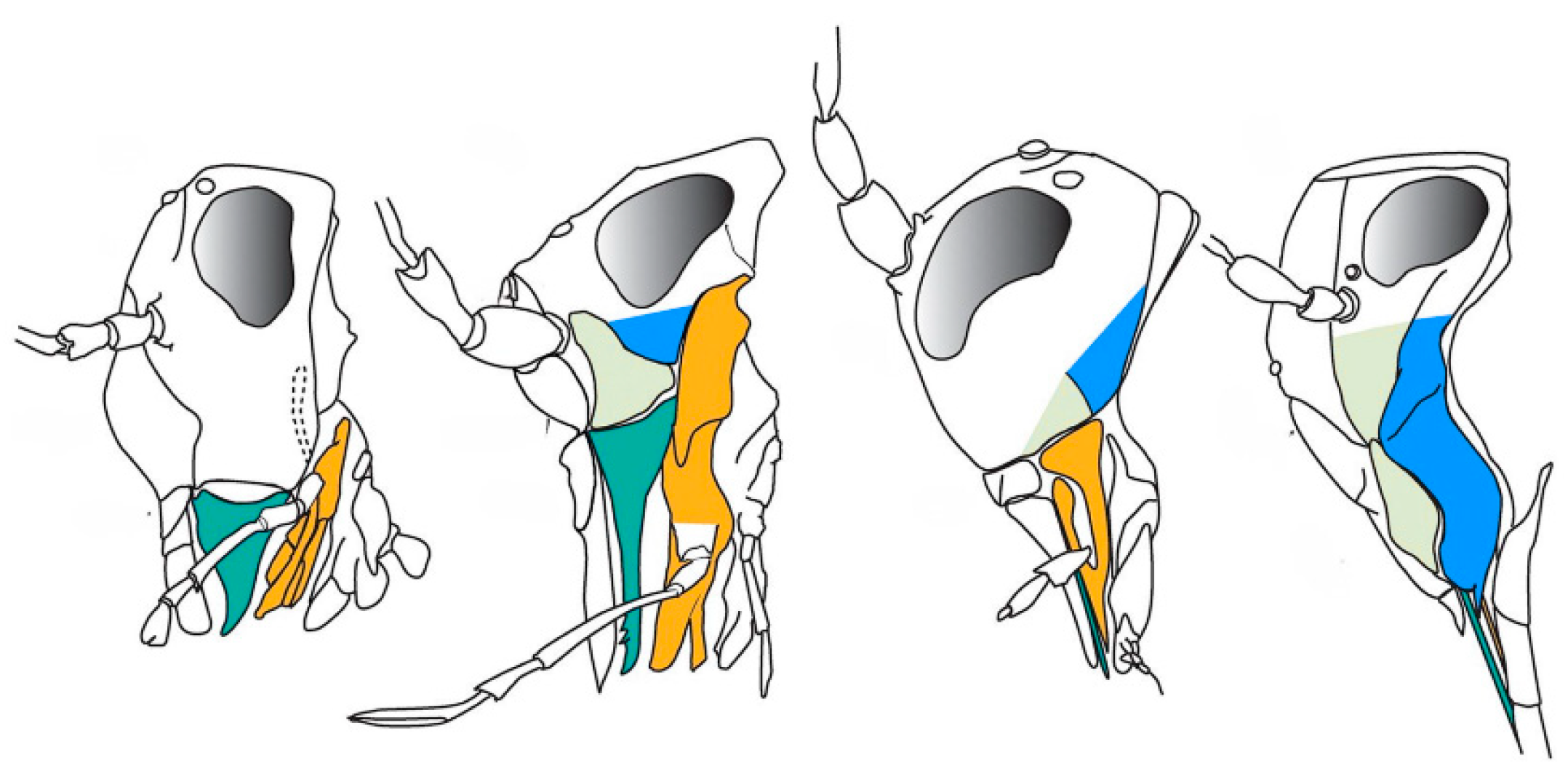 Preprints 185275 g005
