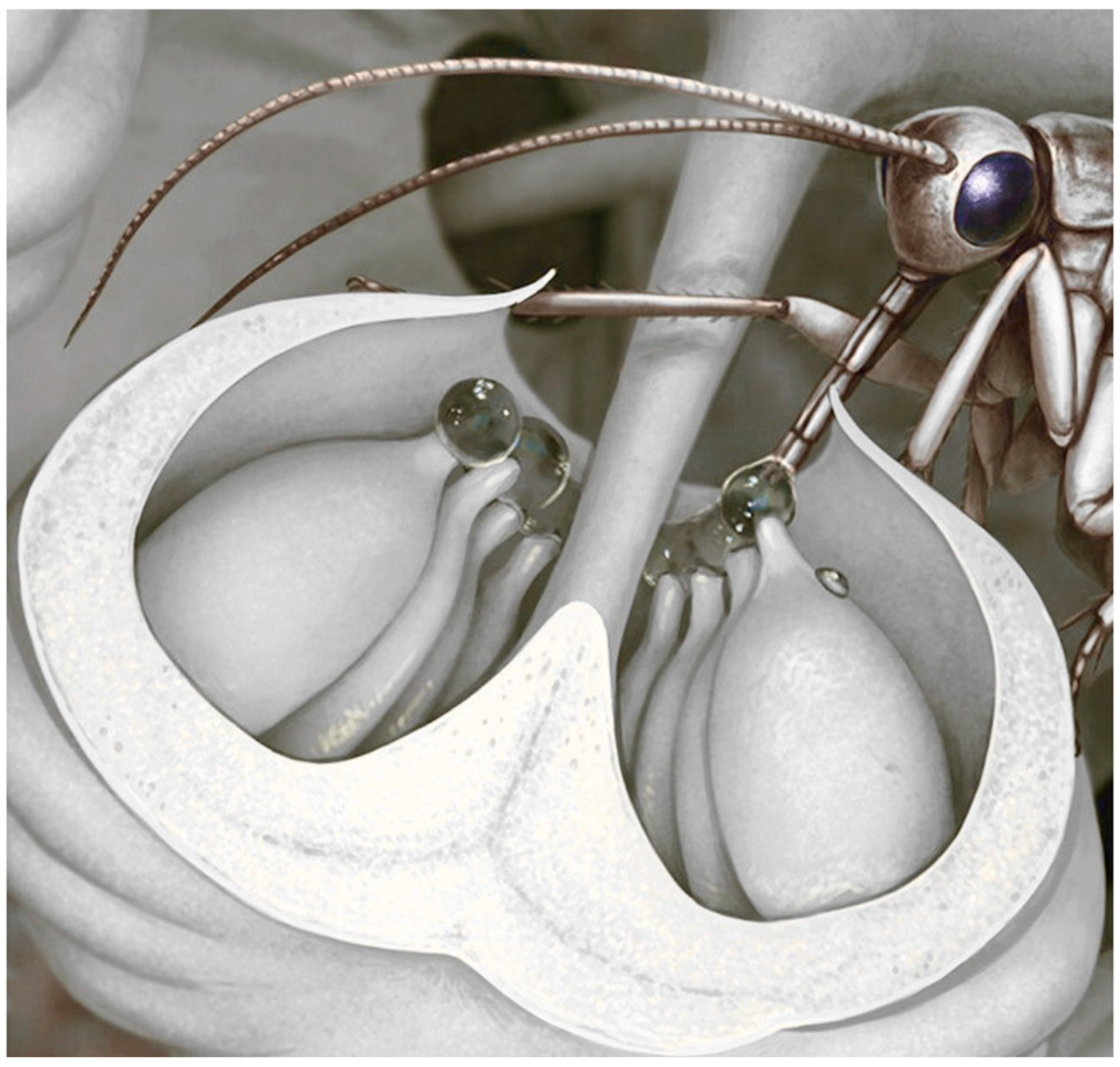 Preprints 185275 g006