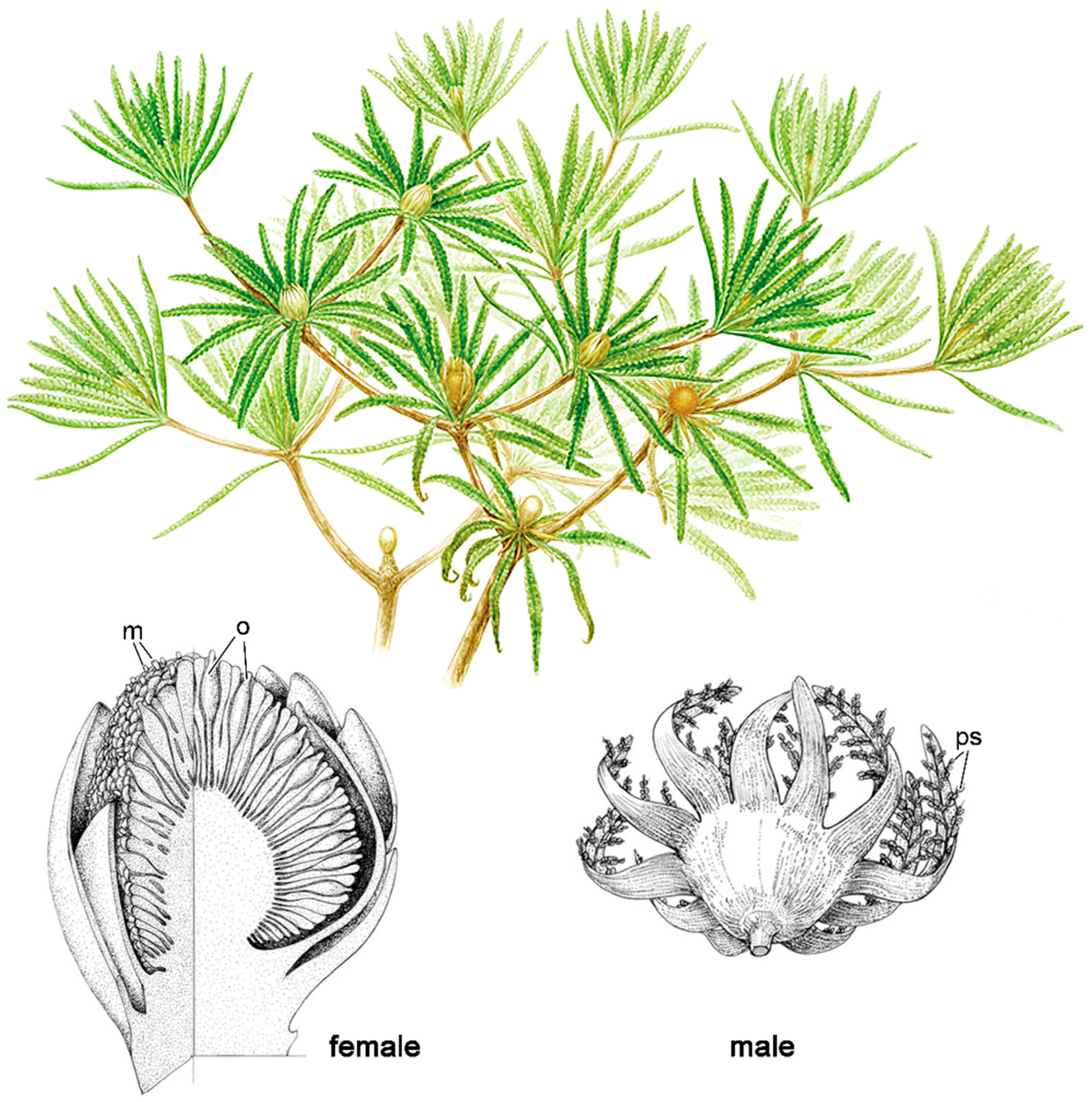 Preprints 185275 g007