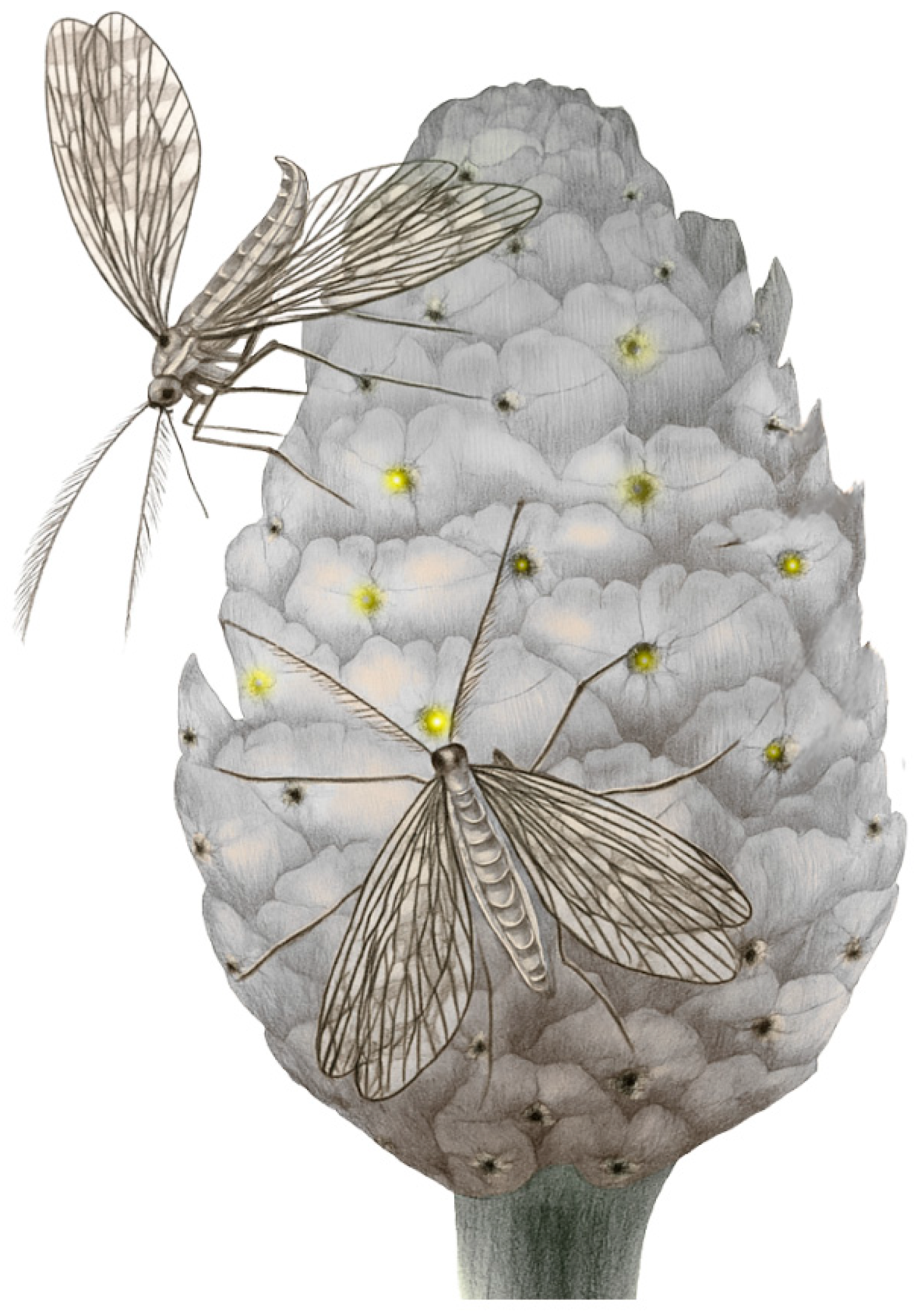 Preprints 185275 g009