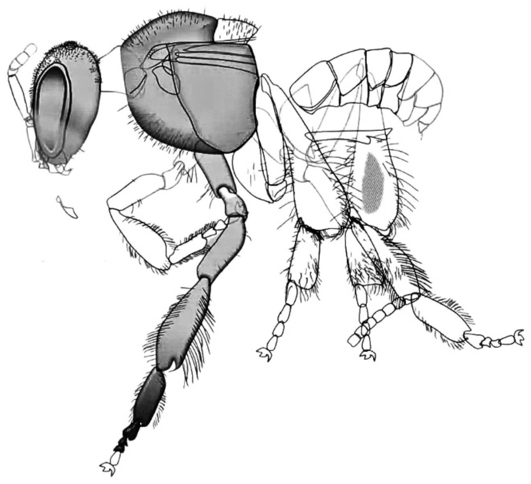 Preprints 185275 g011