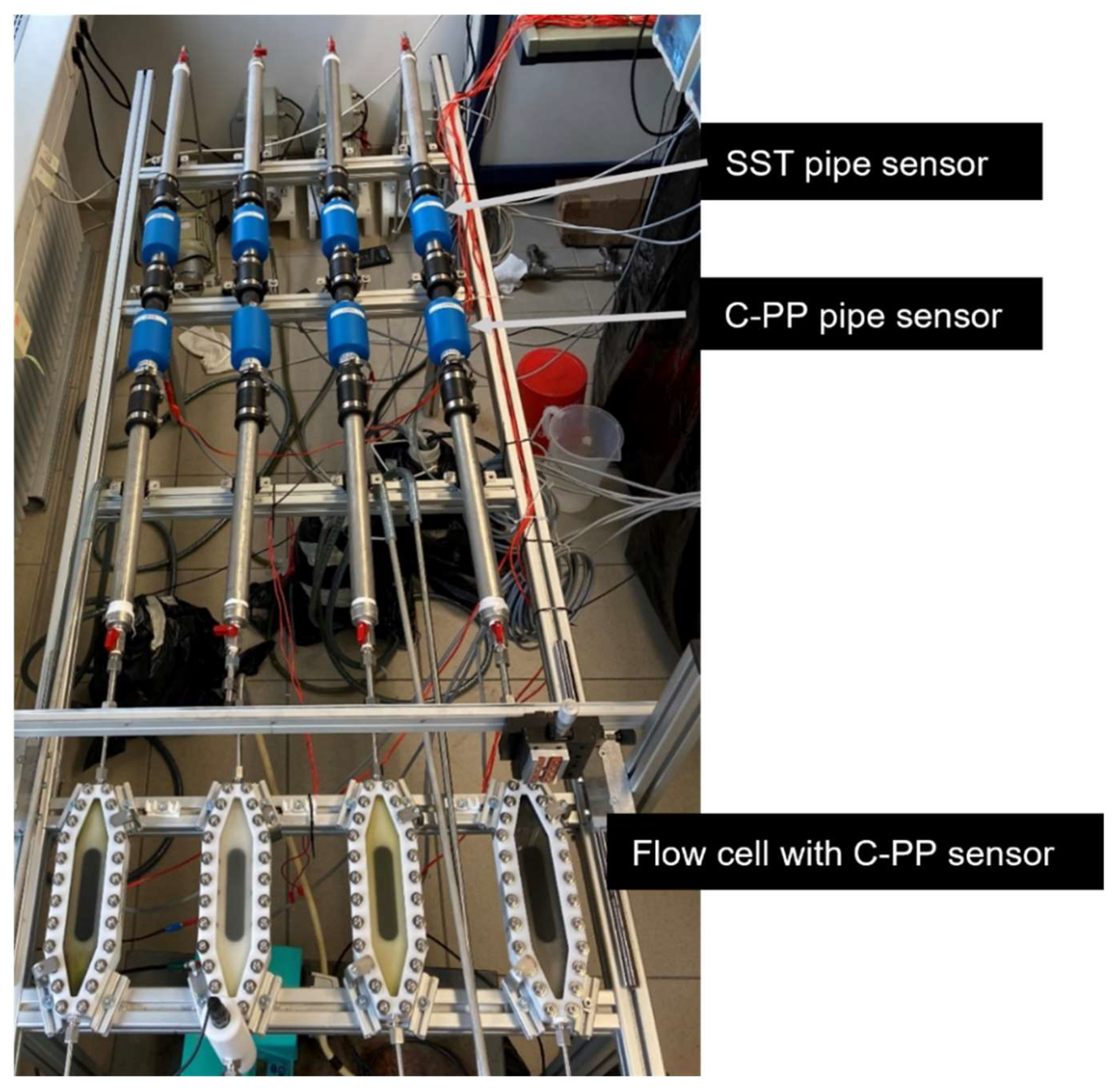 Preprints 145604 g002