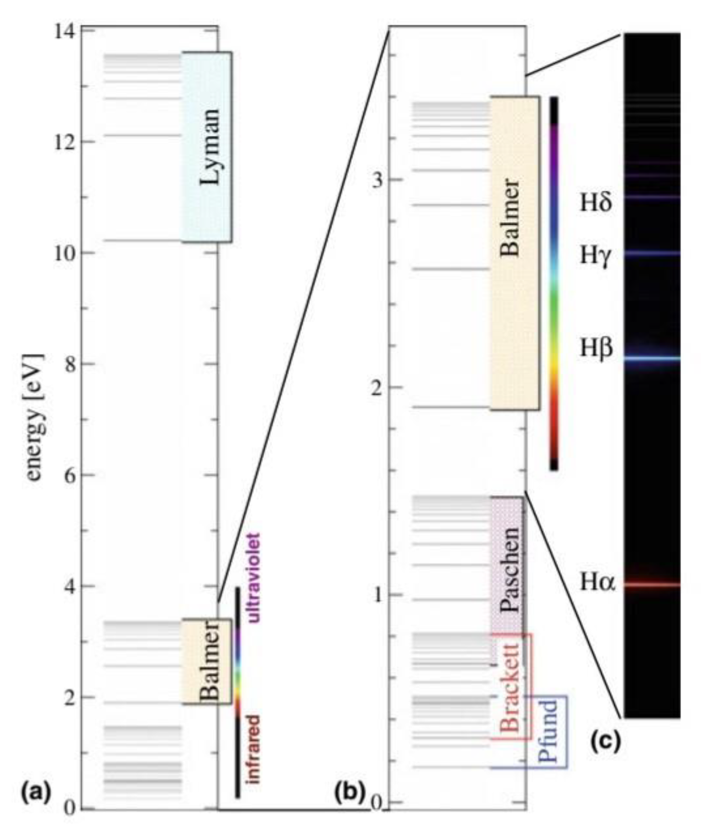 Preprints 140421 g002