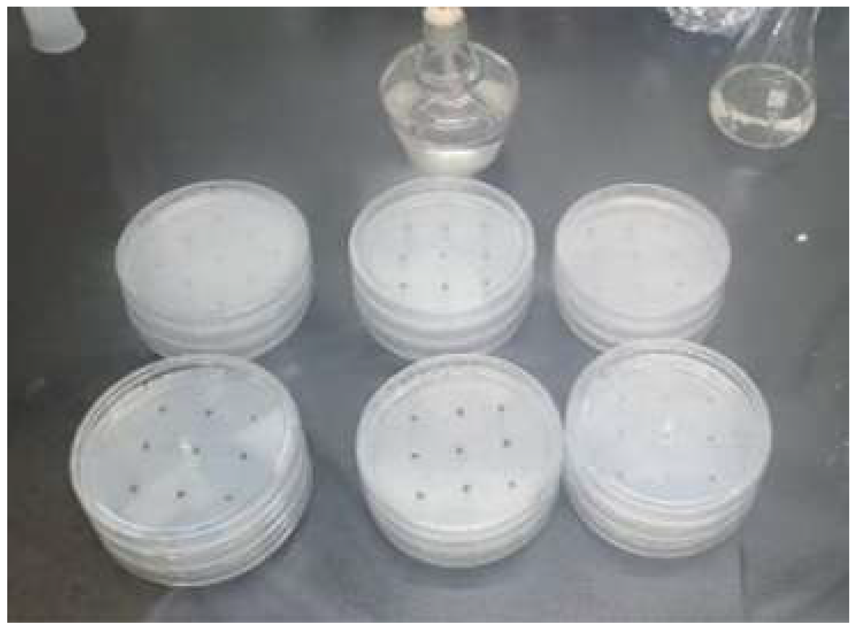 Preprints 197316 g002