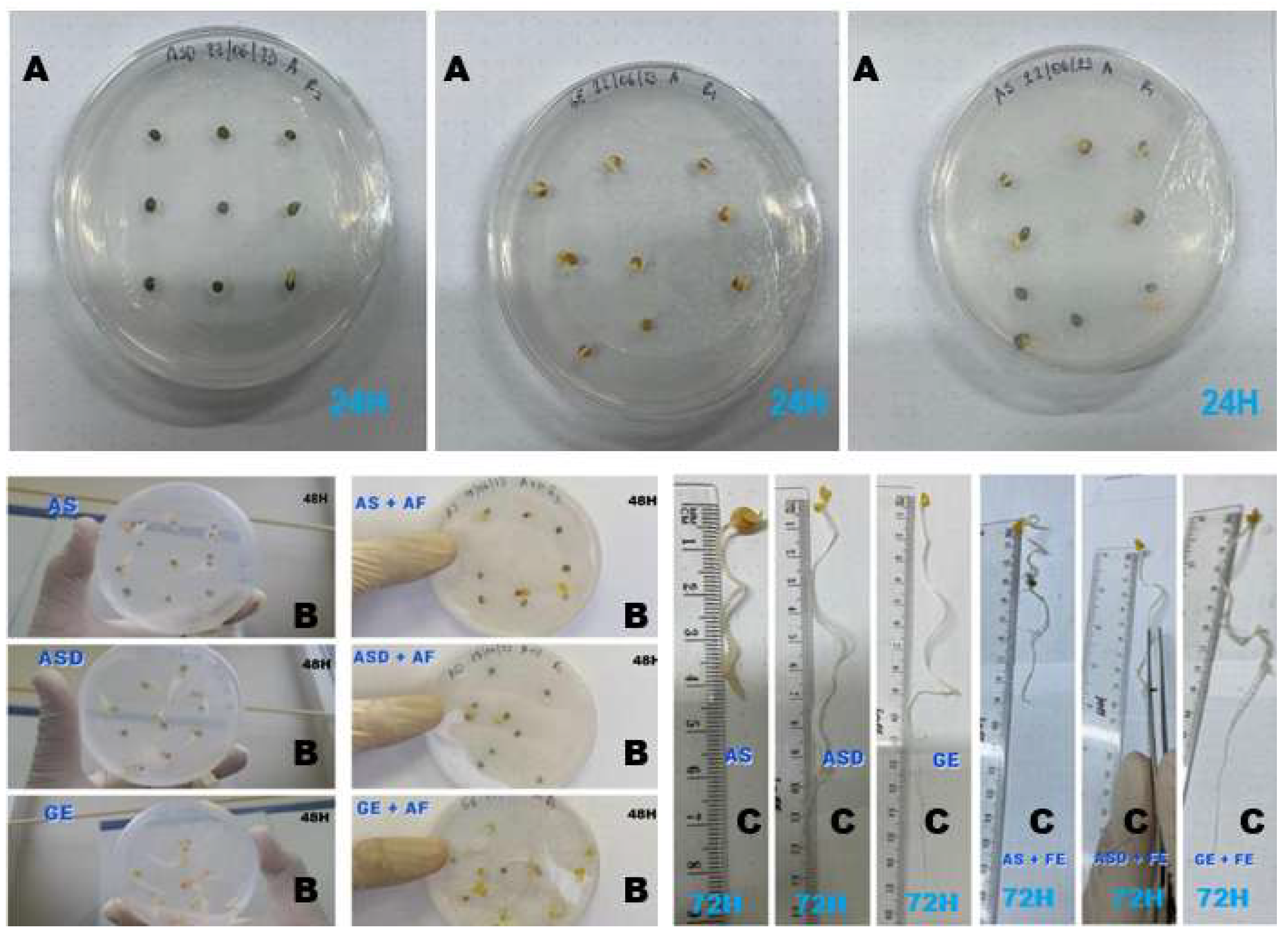 Preprints 197316 g003