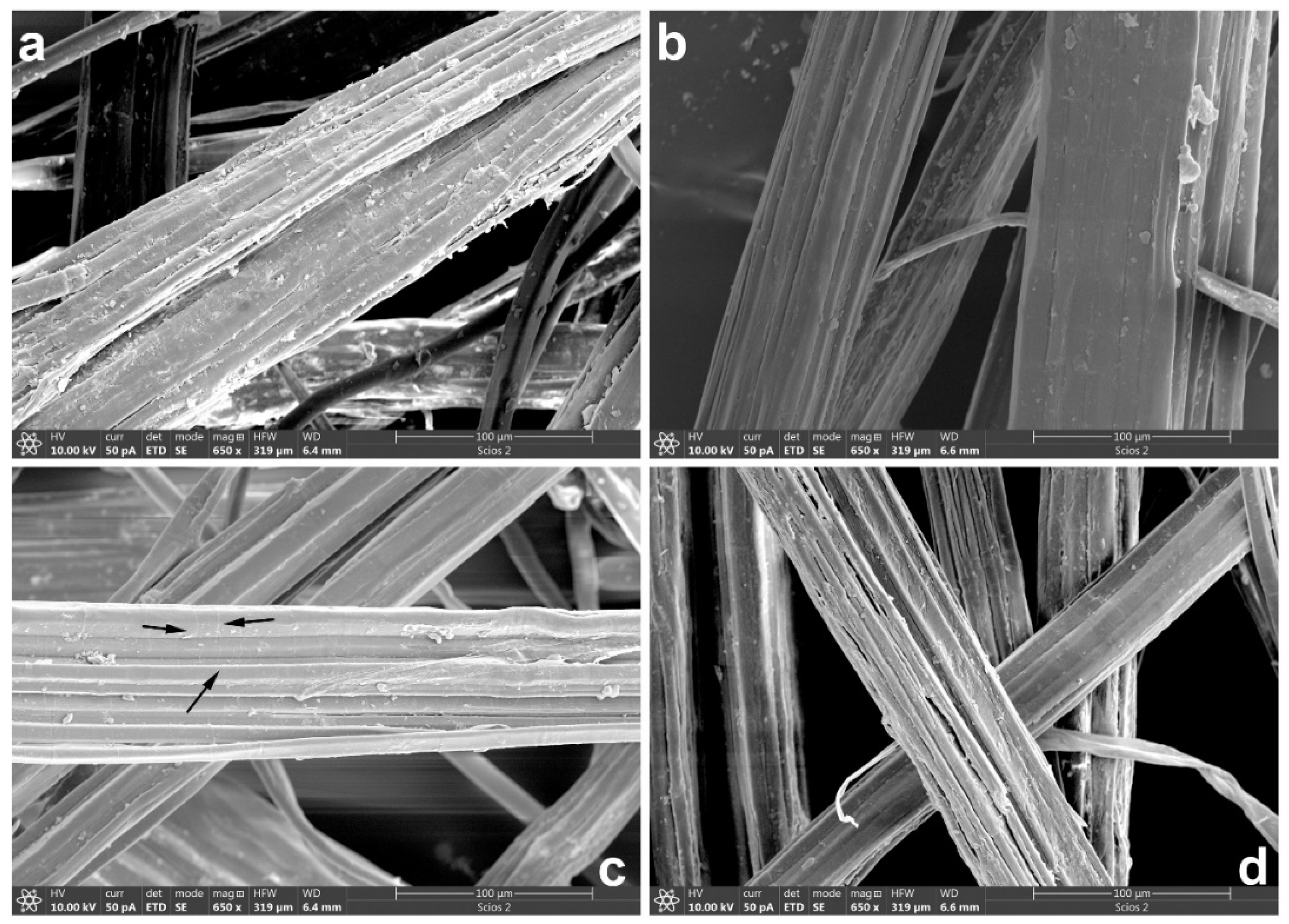 Preprints 109309 g003