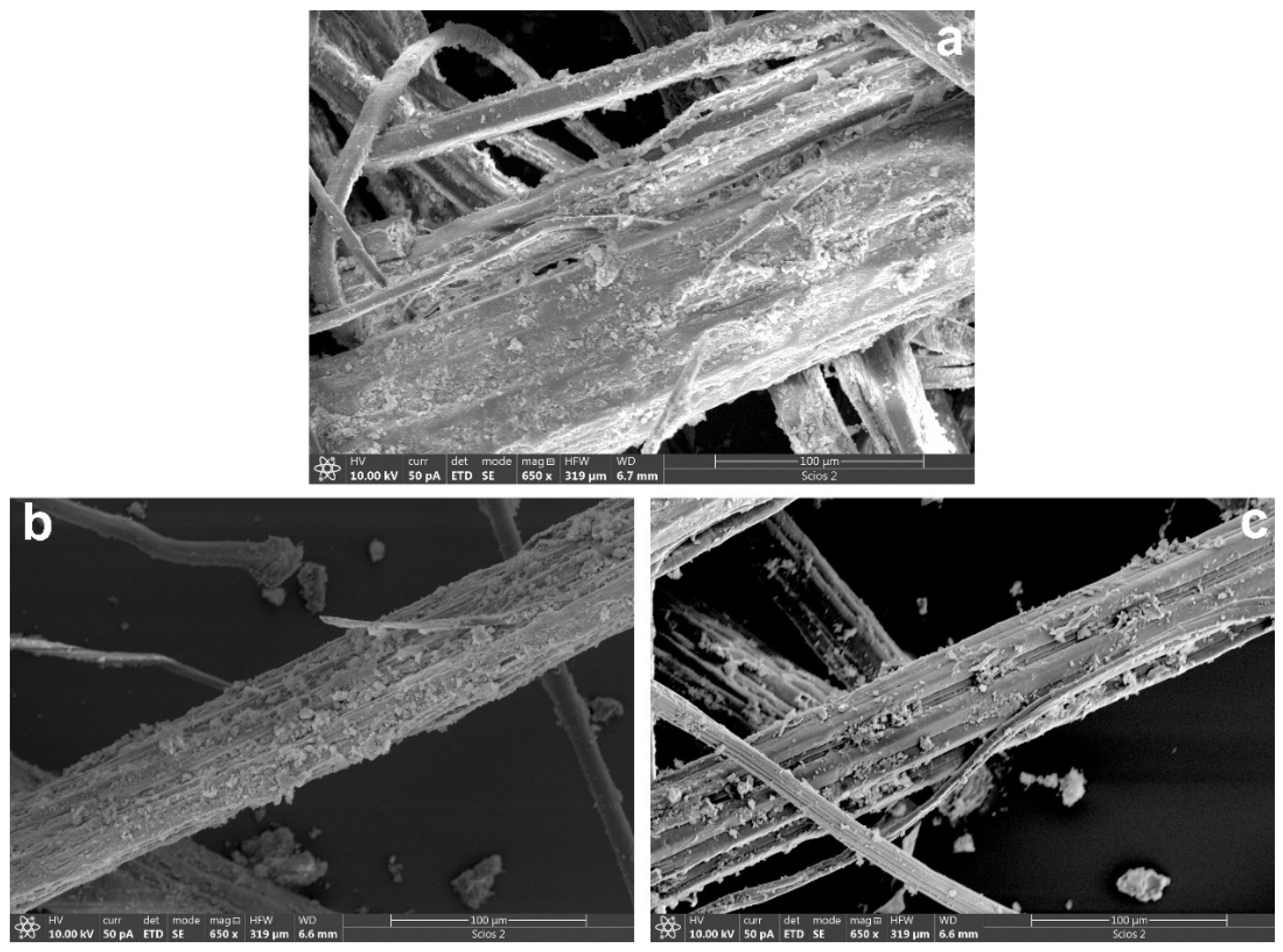 Preprints 109309 g005